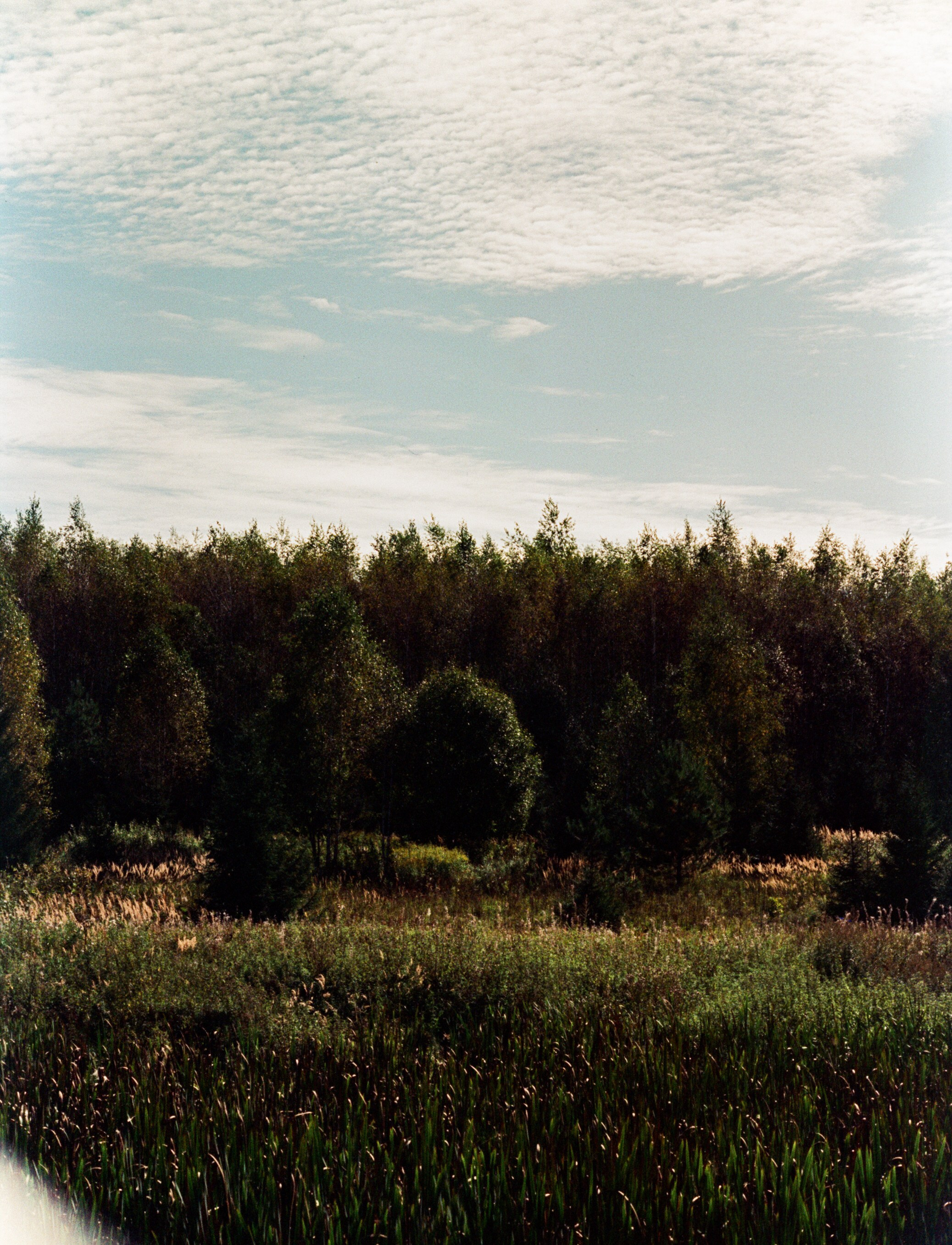 Nikon F100 примеры фотографий