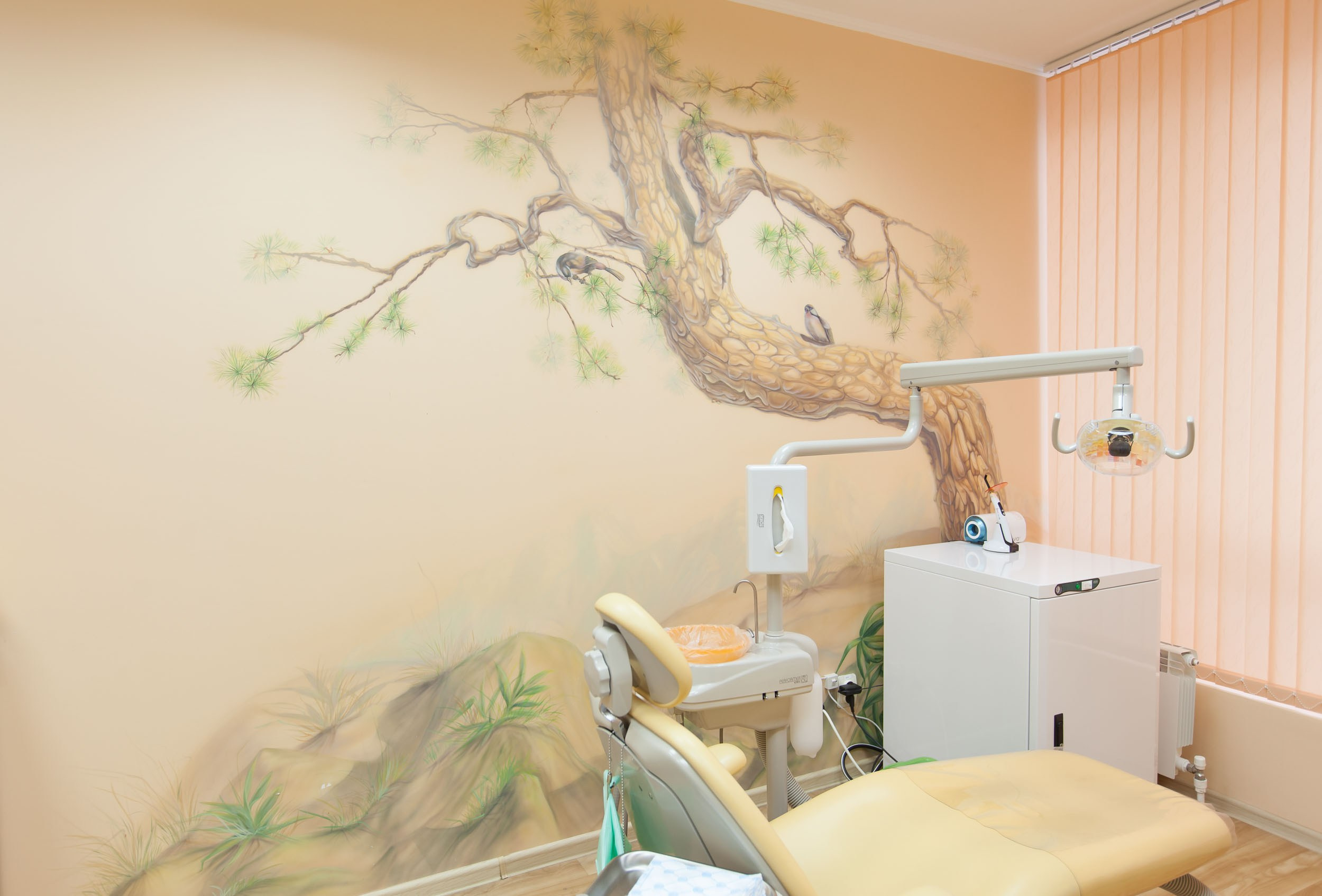 Интерьерная фотосъемка стоматологии Ортодент Прайм в Вологде