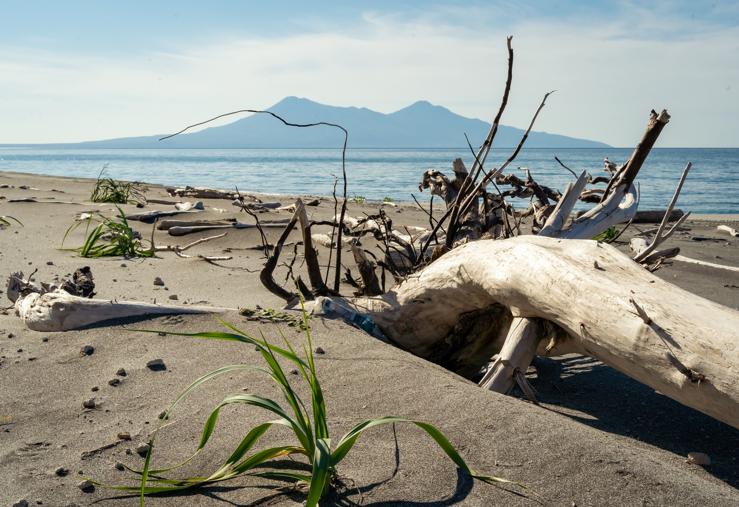 Итуруп. Семейный фотограф Варвара Сорока в городе Москве