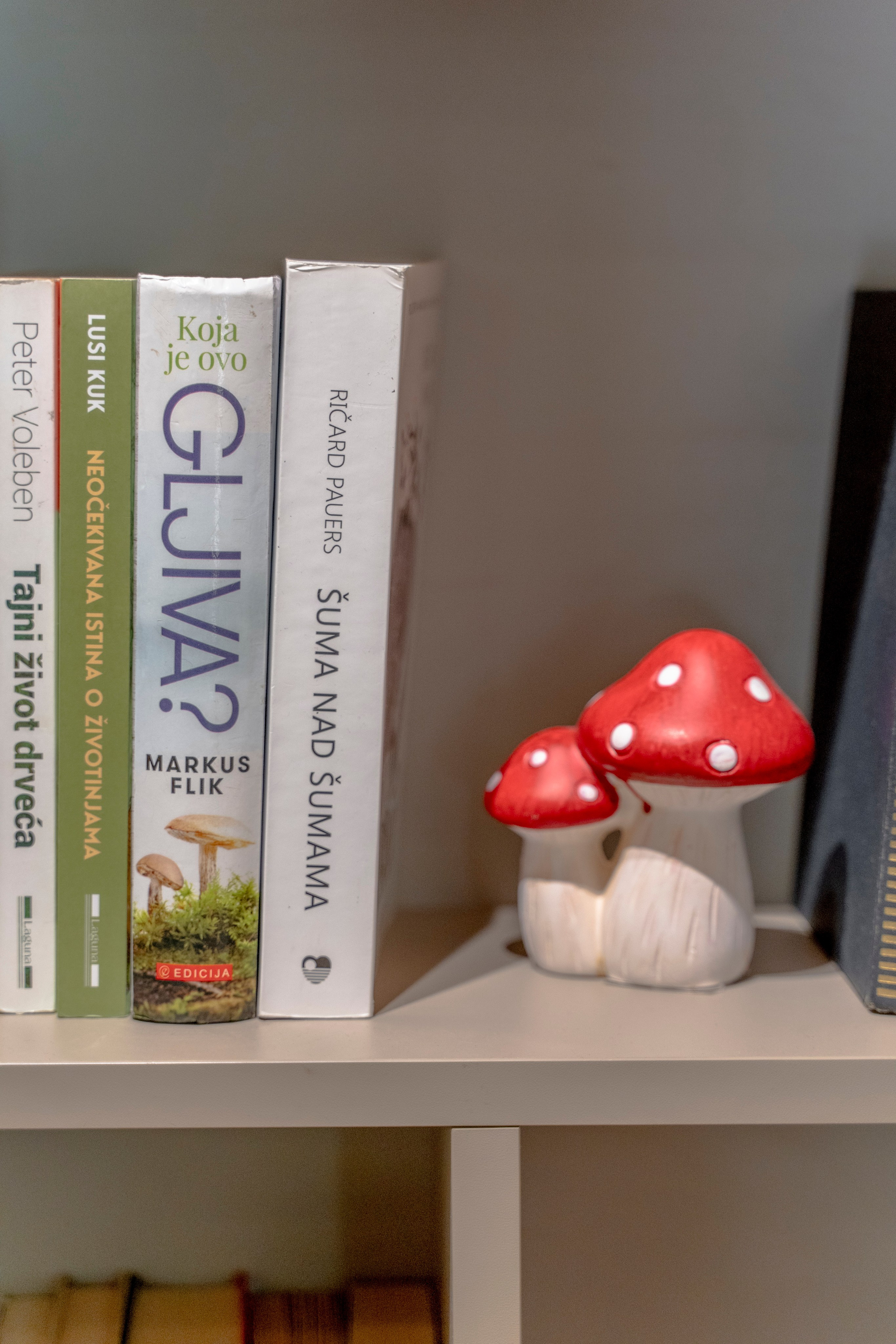 Viktorija Chalet. Photographer Liana Sudets Serbia Kopaonik Brzece Brus