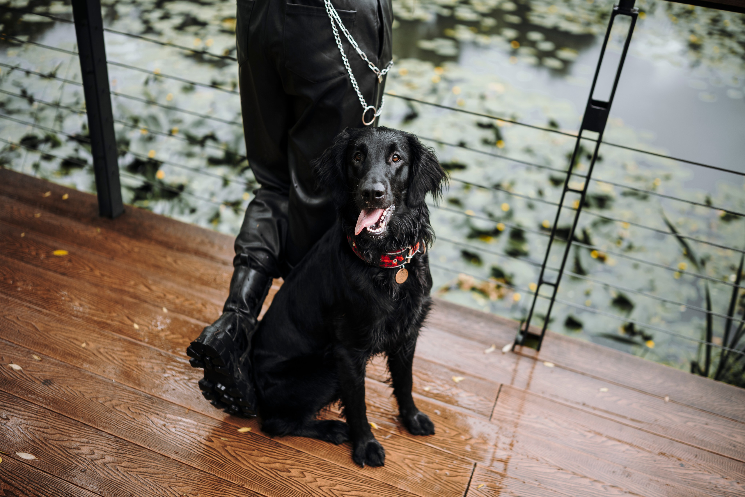 Настя и Демида. Семейный фотограф анималист Ананьева Мария — Москва