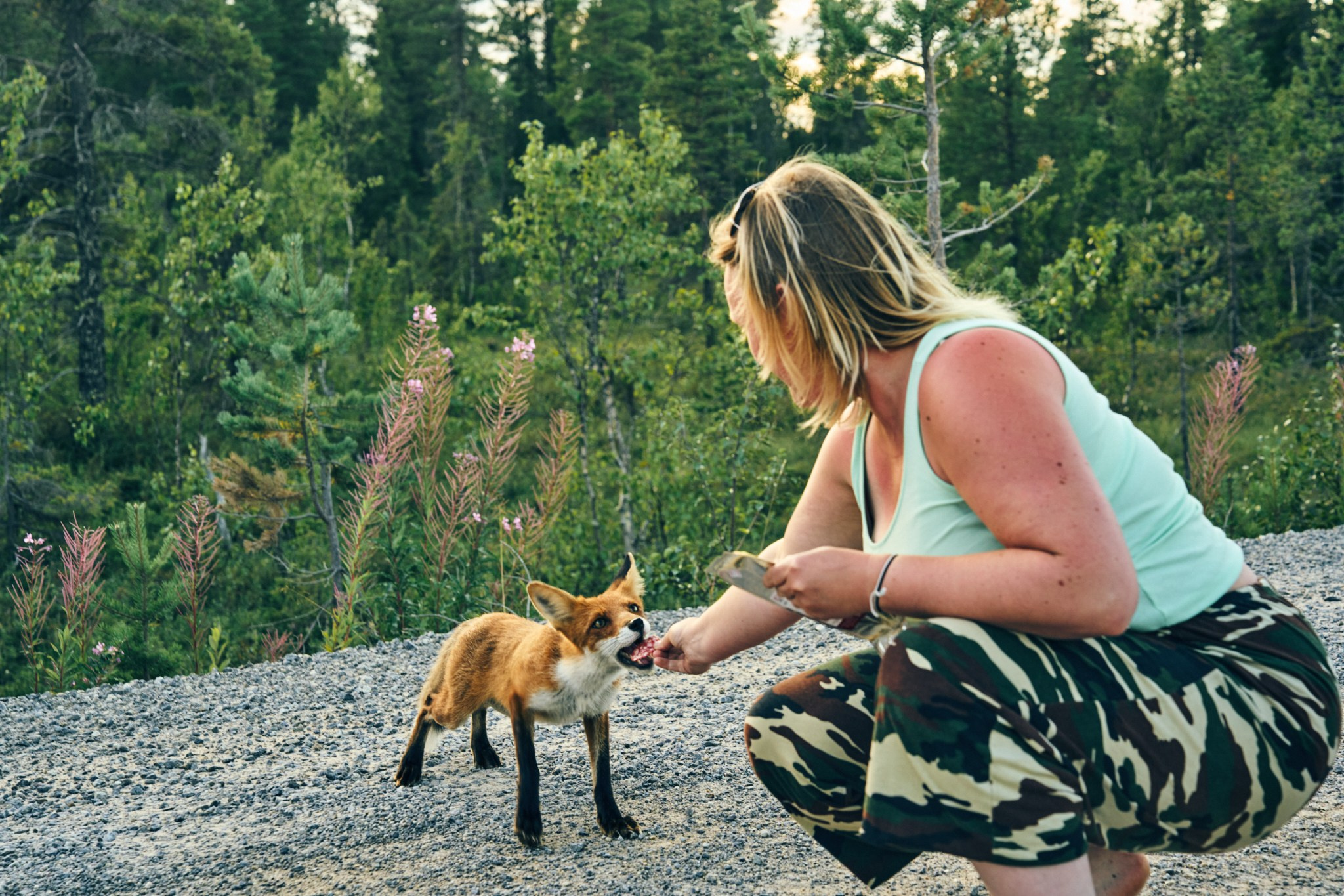 Путешествие на Север в 2023 году. Внедорожные путешествия — OFFROADTRIP