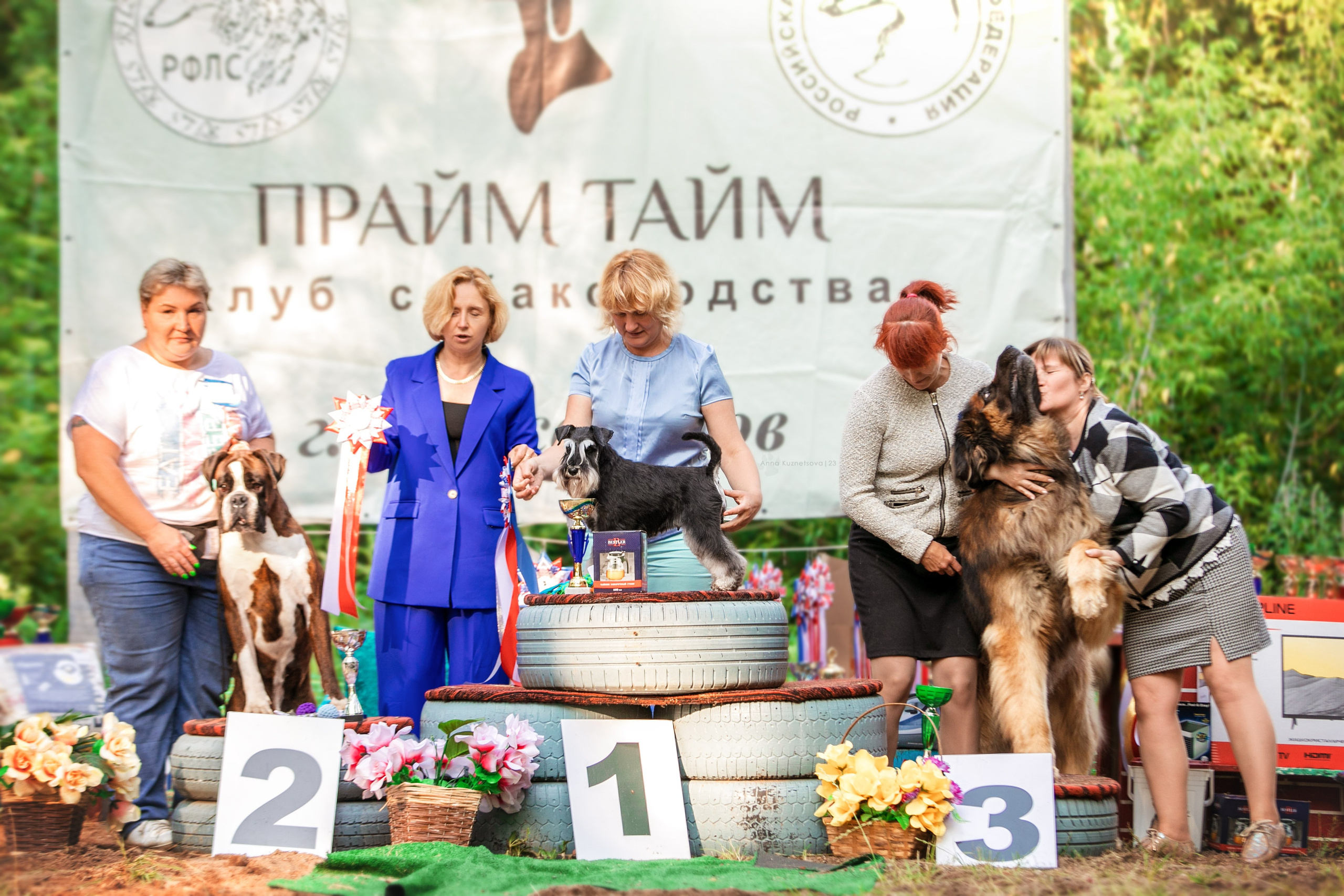 В ринге. Фотограф анималист Кузнецова Анна Нижний Новгород