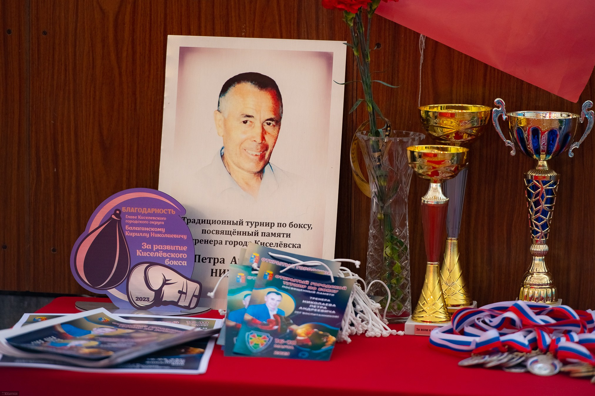 Турнир памяти Николаева П.А. ProfotoNK