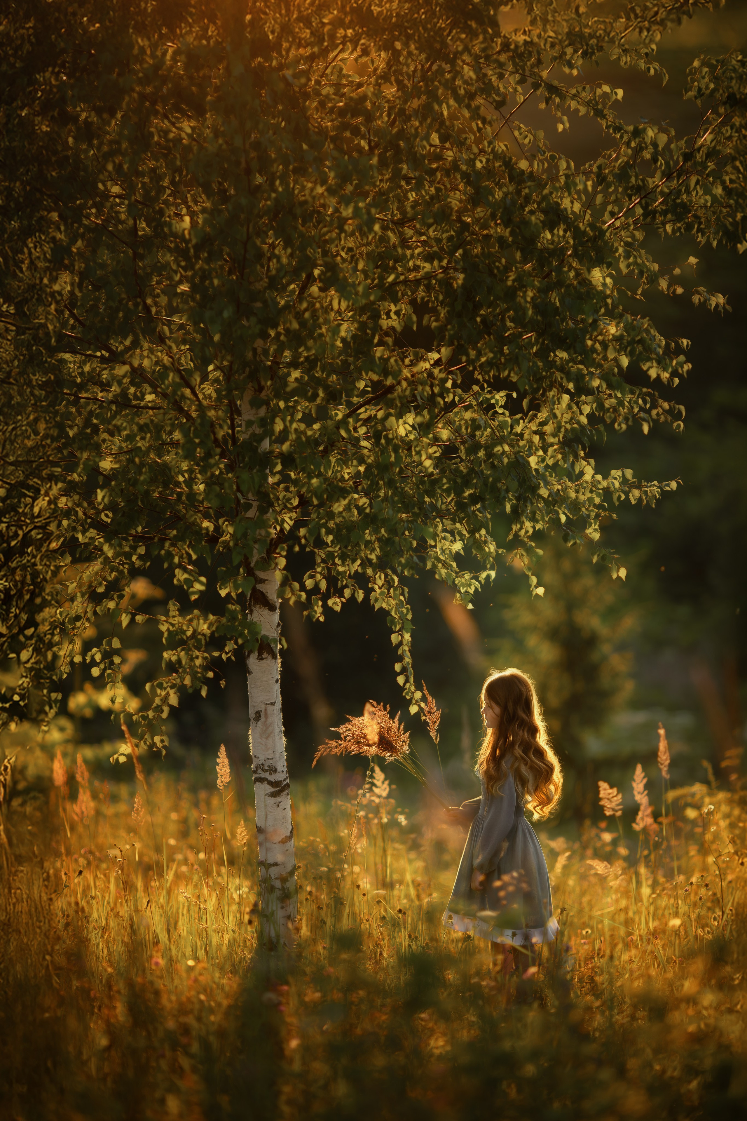 Девочка с букетом стоит в вечернем поле, в мягком закатном свете. Позади — берёза, вокруг — высокая трава и лёгкий воздух.