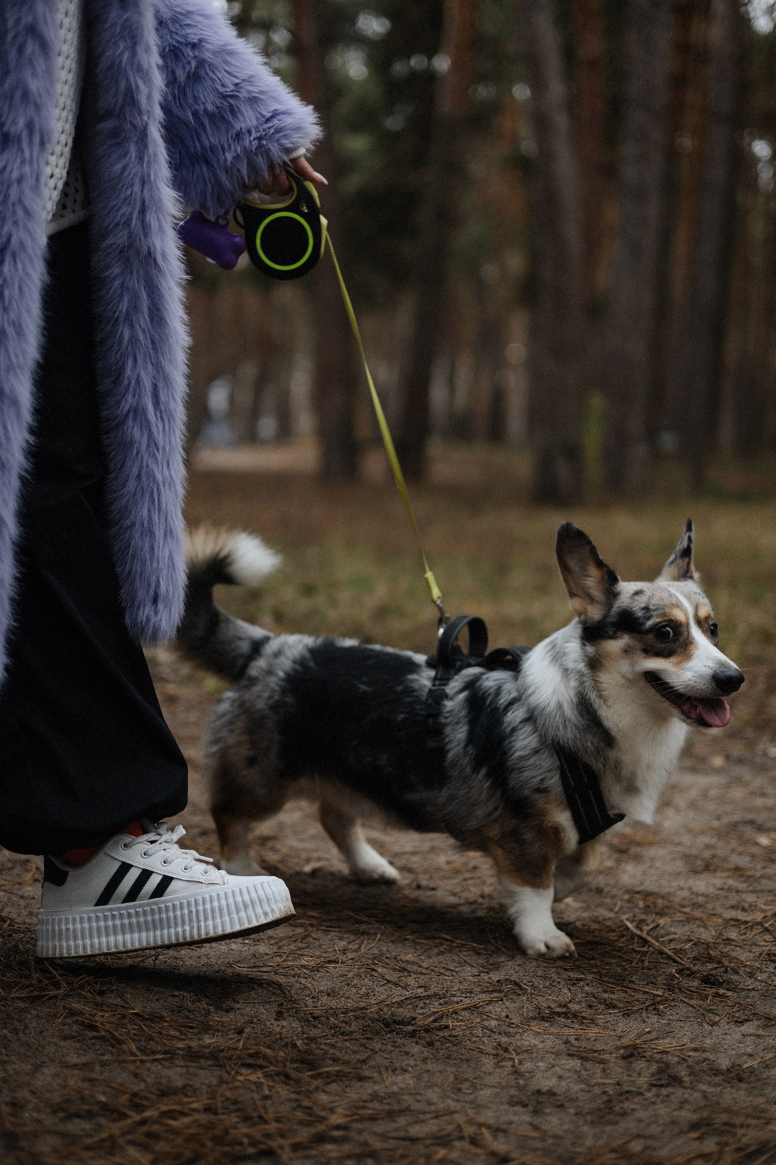 Уличная сьемка