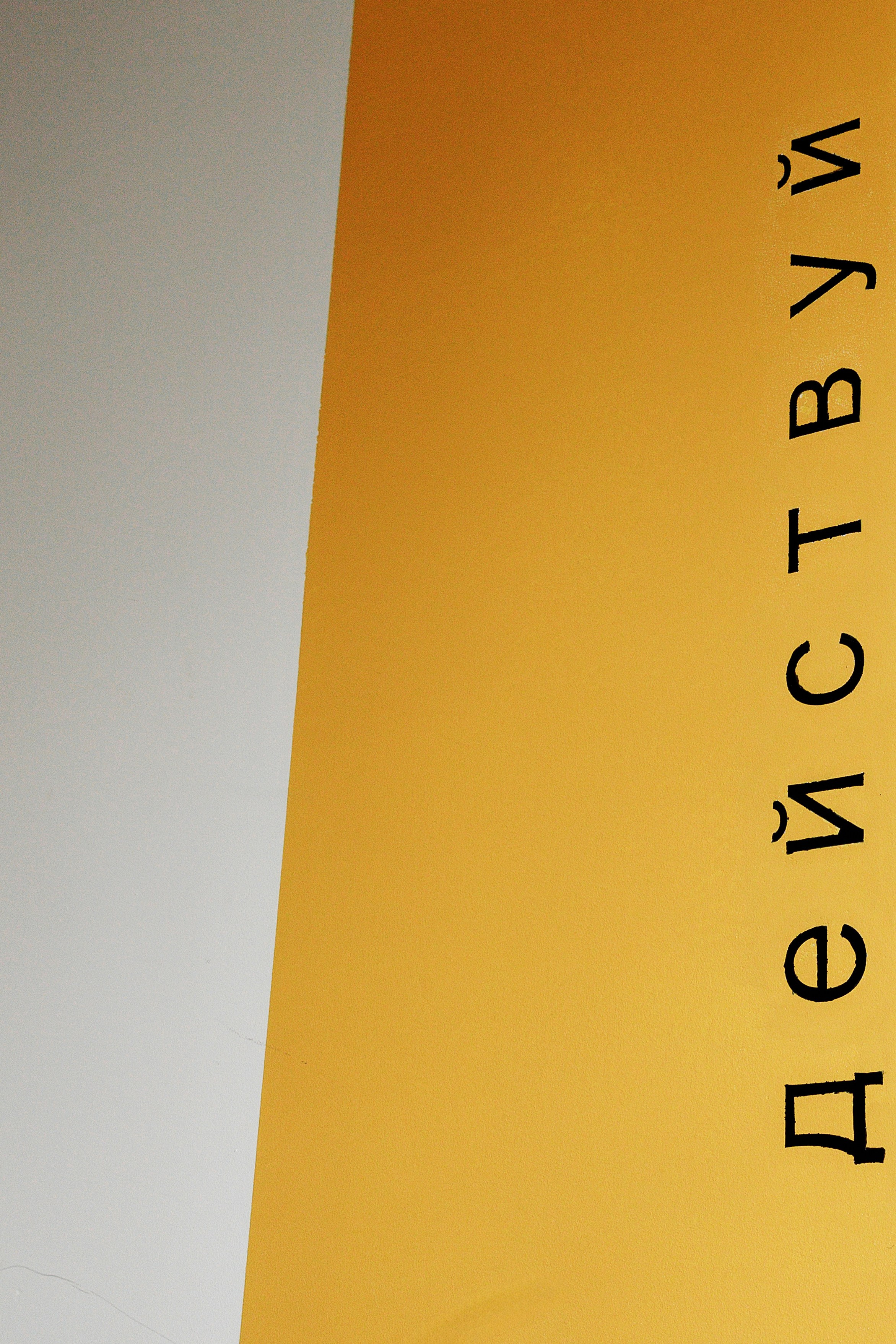 Лев 2 годика. Свадебный и семейный фотограф  во Владивостоке Ольга Украинец