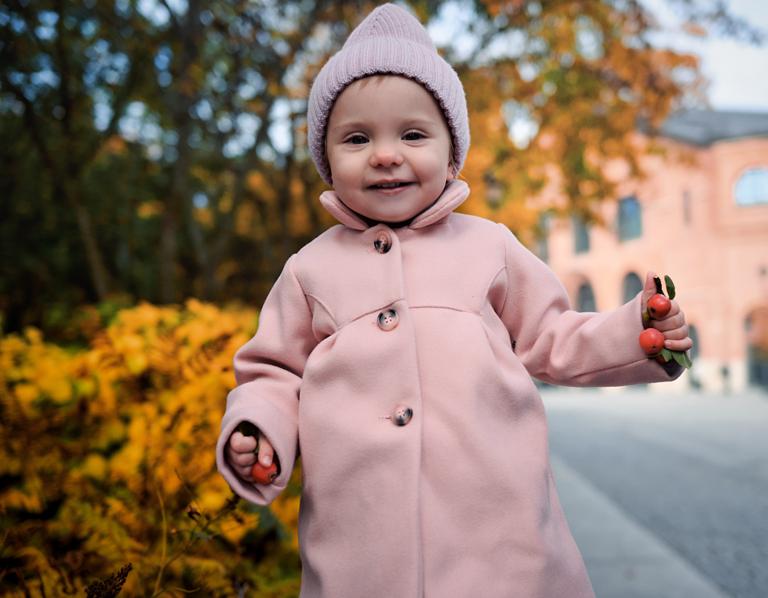 Осень в Новой Голландии. May the numbers guide us