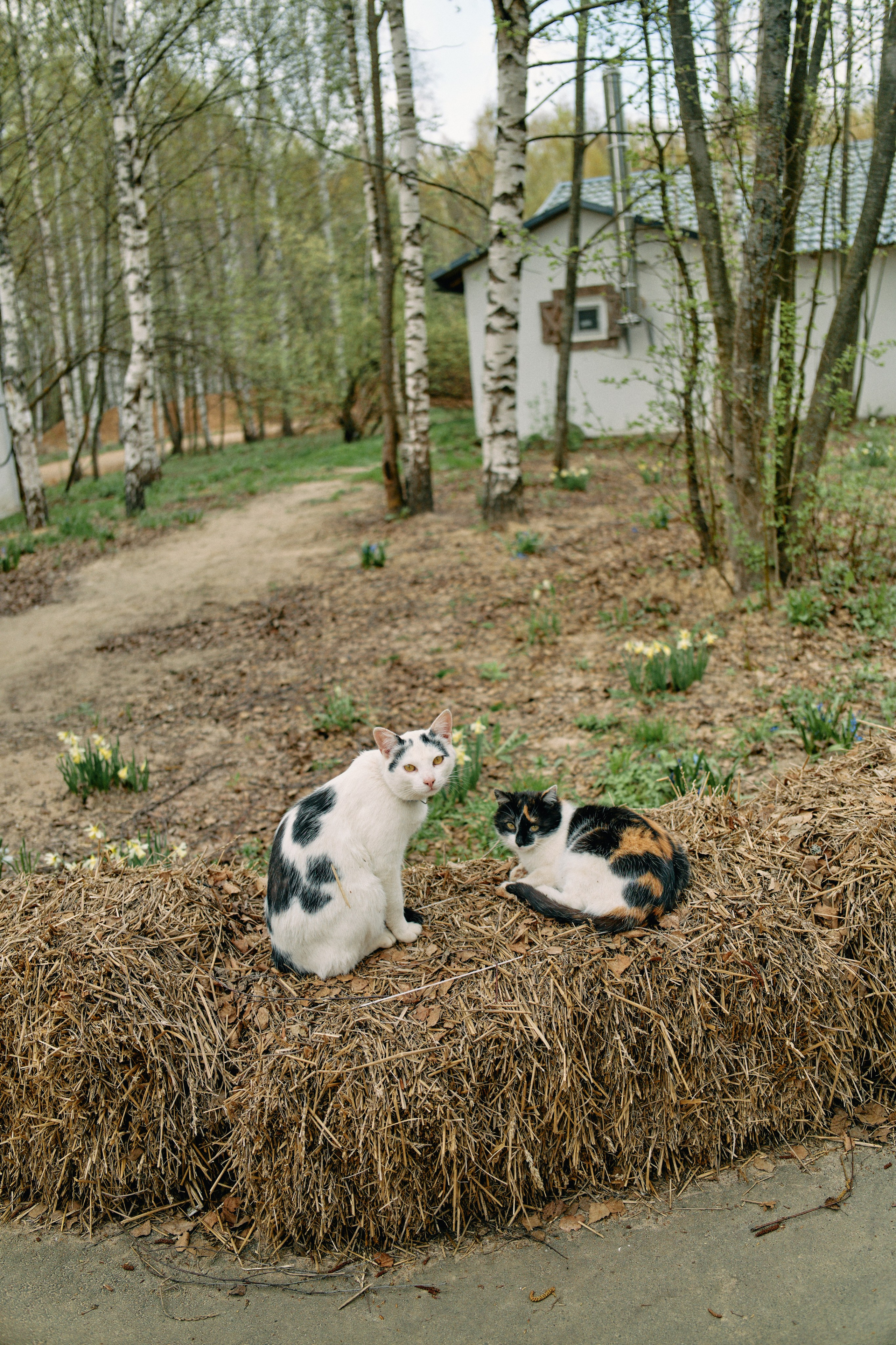 Бутик-отель Поле летом. Профессиональный Фотограф во Владимире, в Москве и в Суздале — Полина Романычева