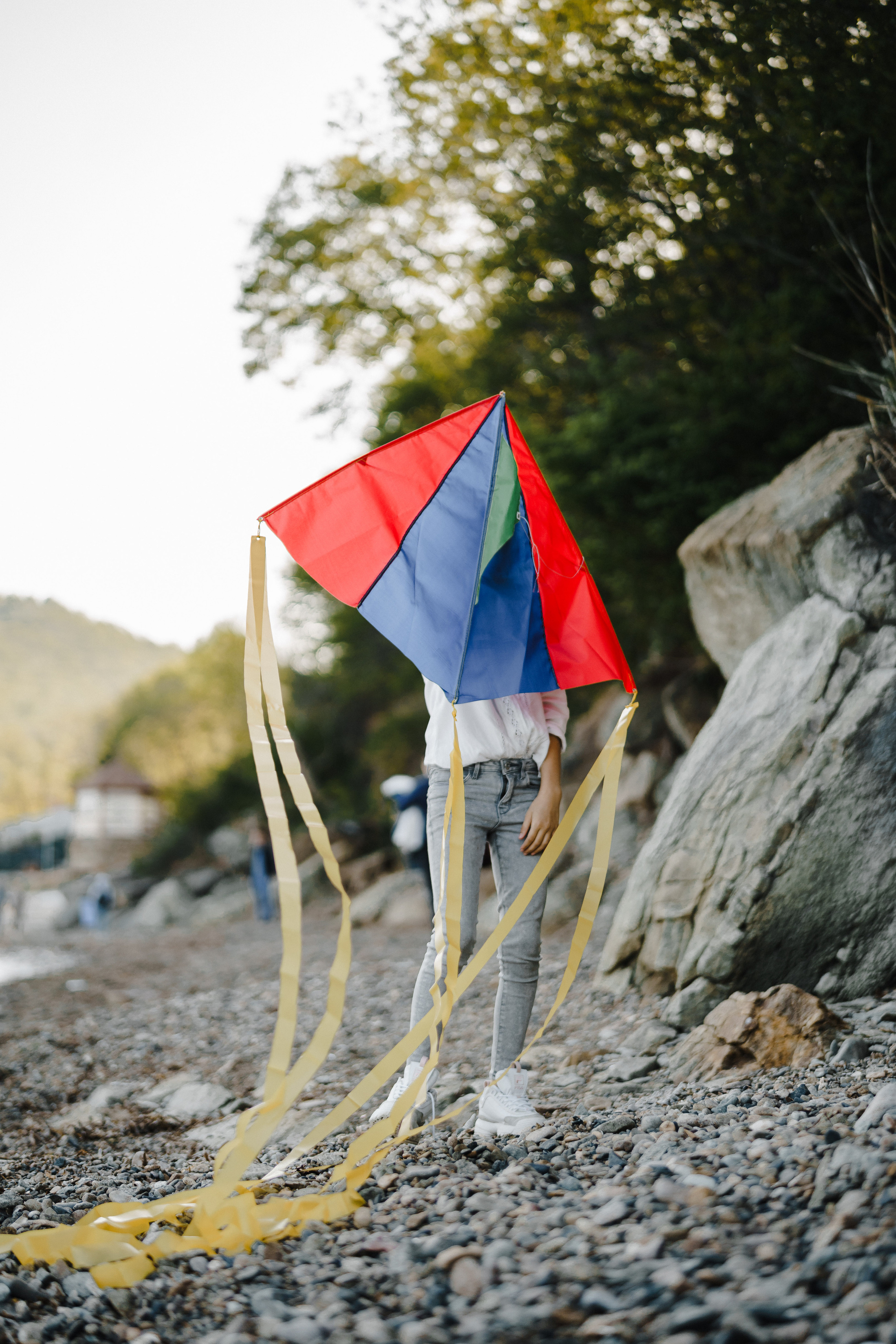 Берег моря воздушный змей и собака. Фотограф Lifestyle в Хабаровске, Владивостоке Землякова Елена