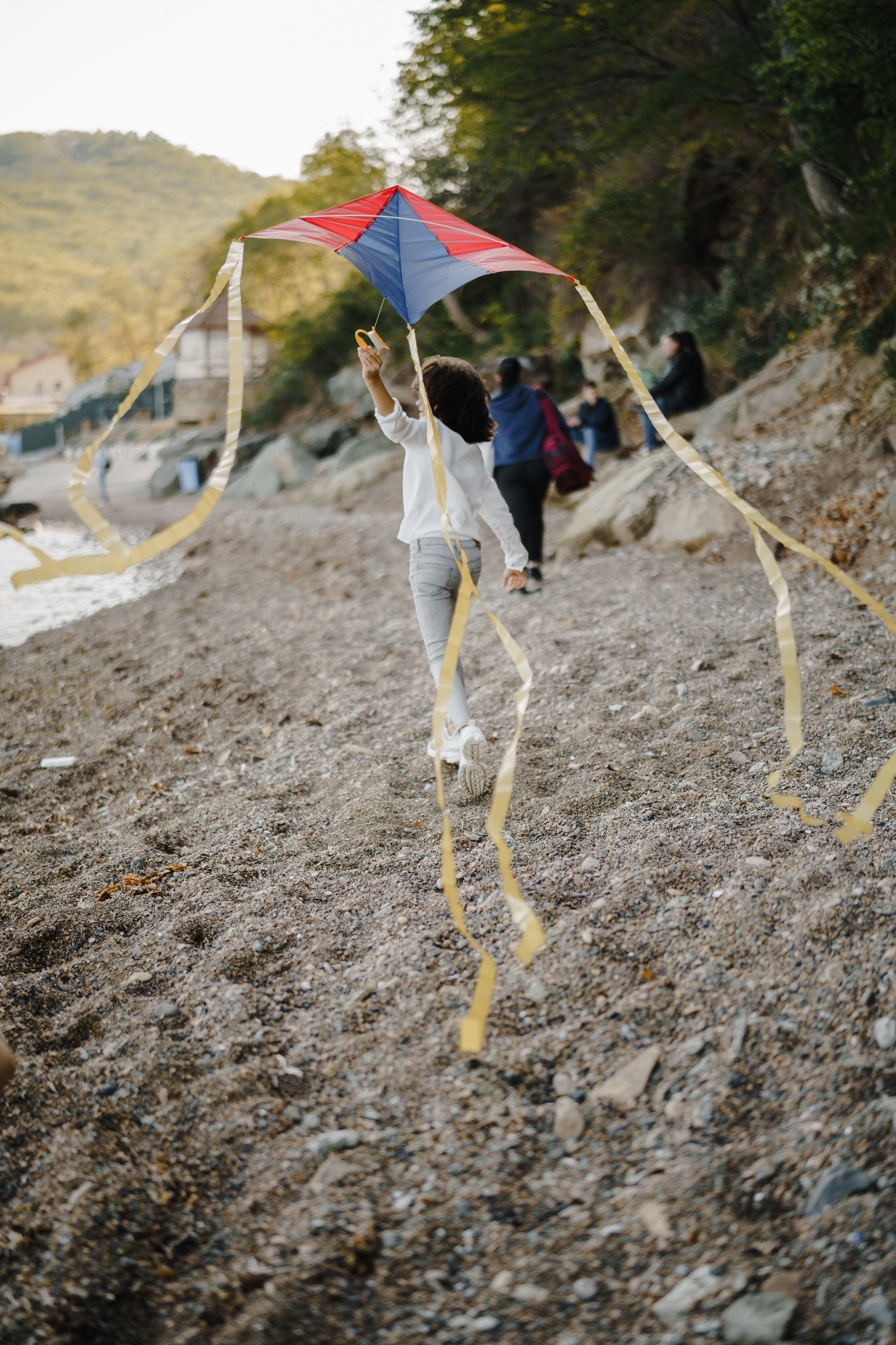 Берег моря воздушный змей и собака. Фотограф Lifestyle в Хабаровске, Владивостоке Землякова Елена