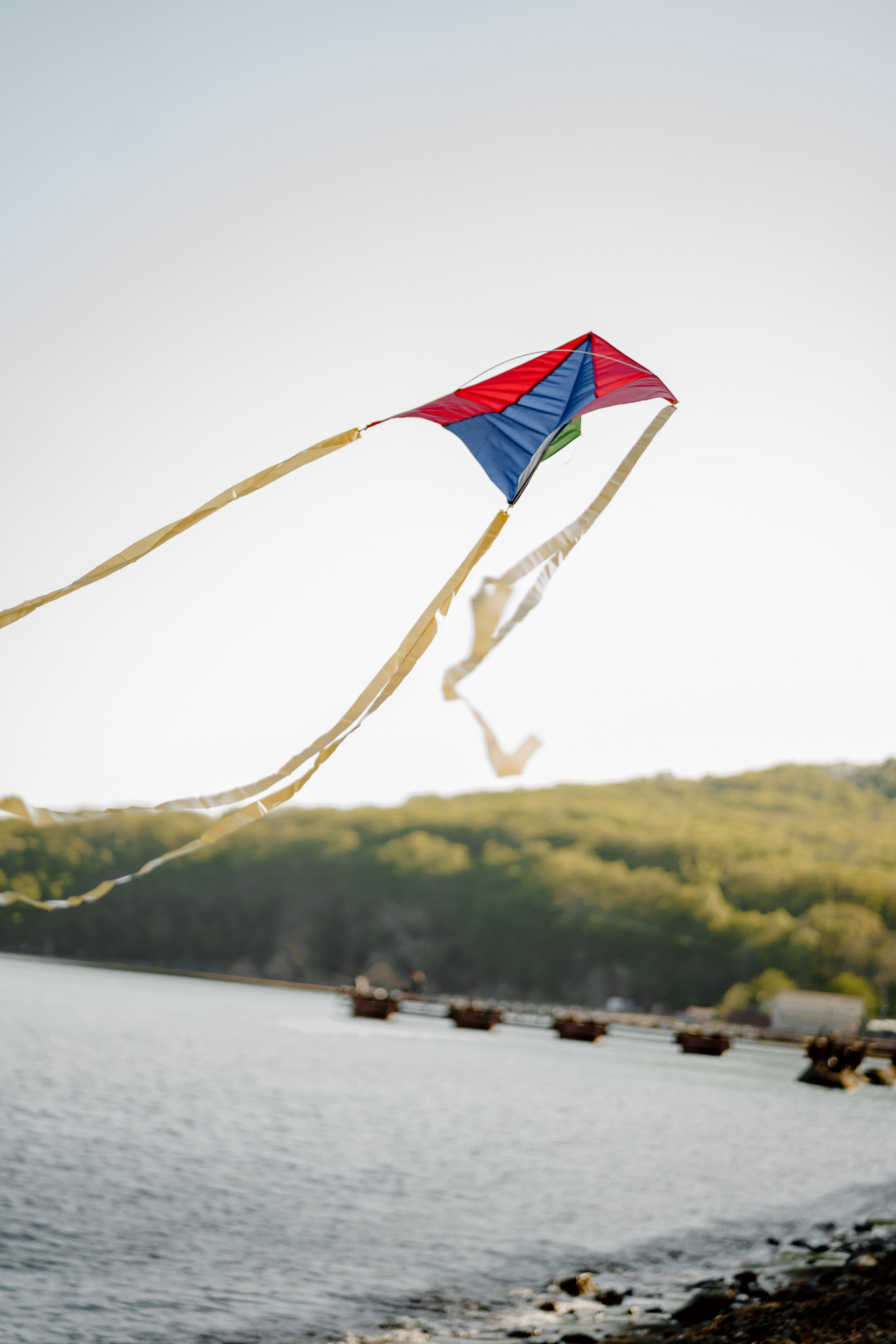 Берег моря воздушный змей и собака. Фотограф Lifestyle в Хабаровске, Владивостоке Землякова Елена