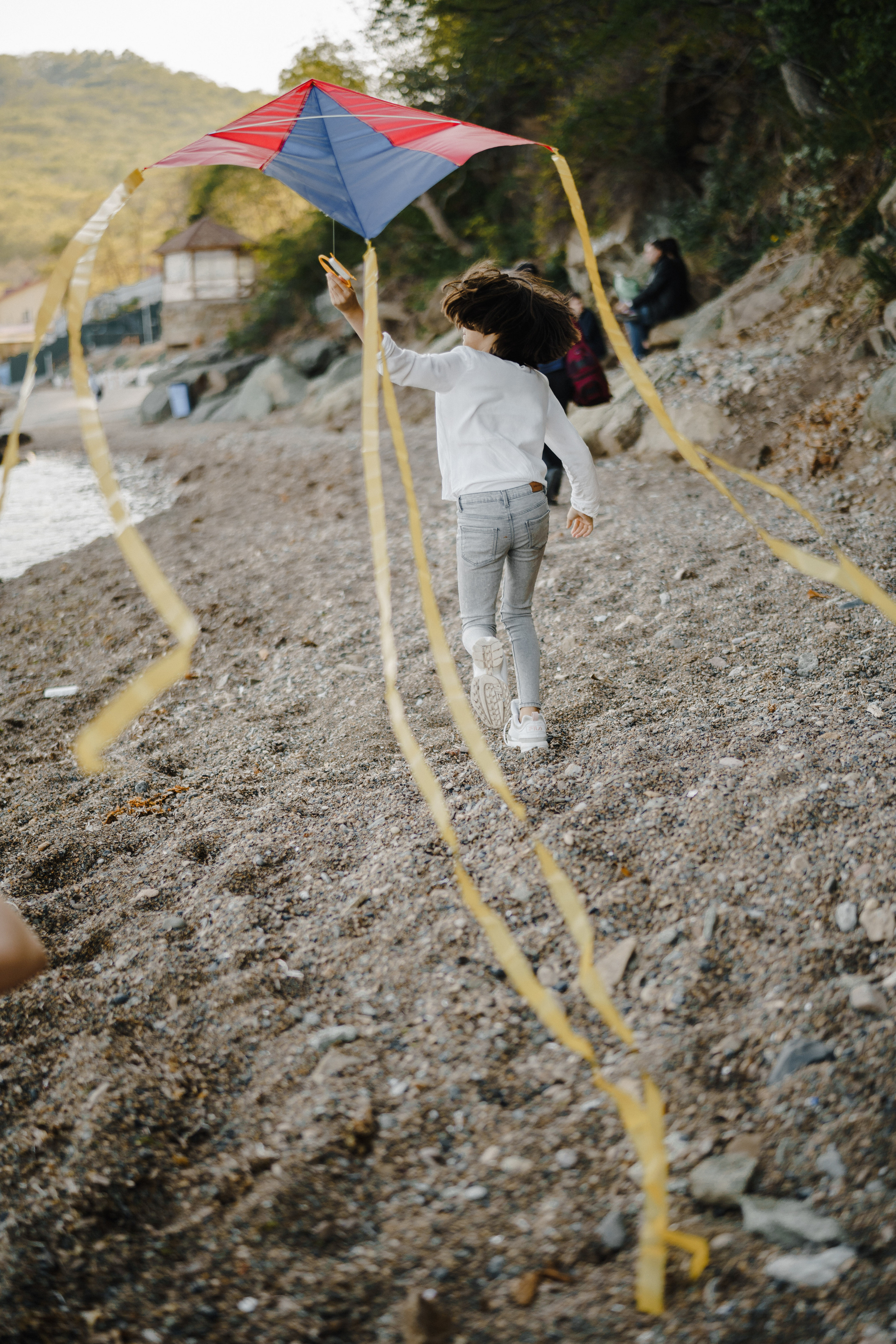 Берег моря воздушный змей и собака. Фотограф Lifestyle в Хабаровске, Владивостоке Землякова Елена