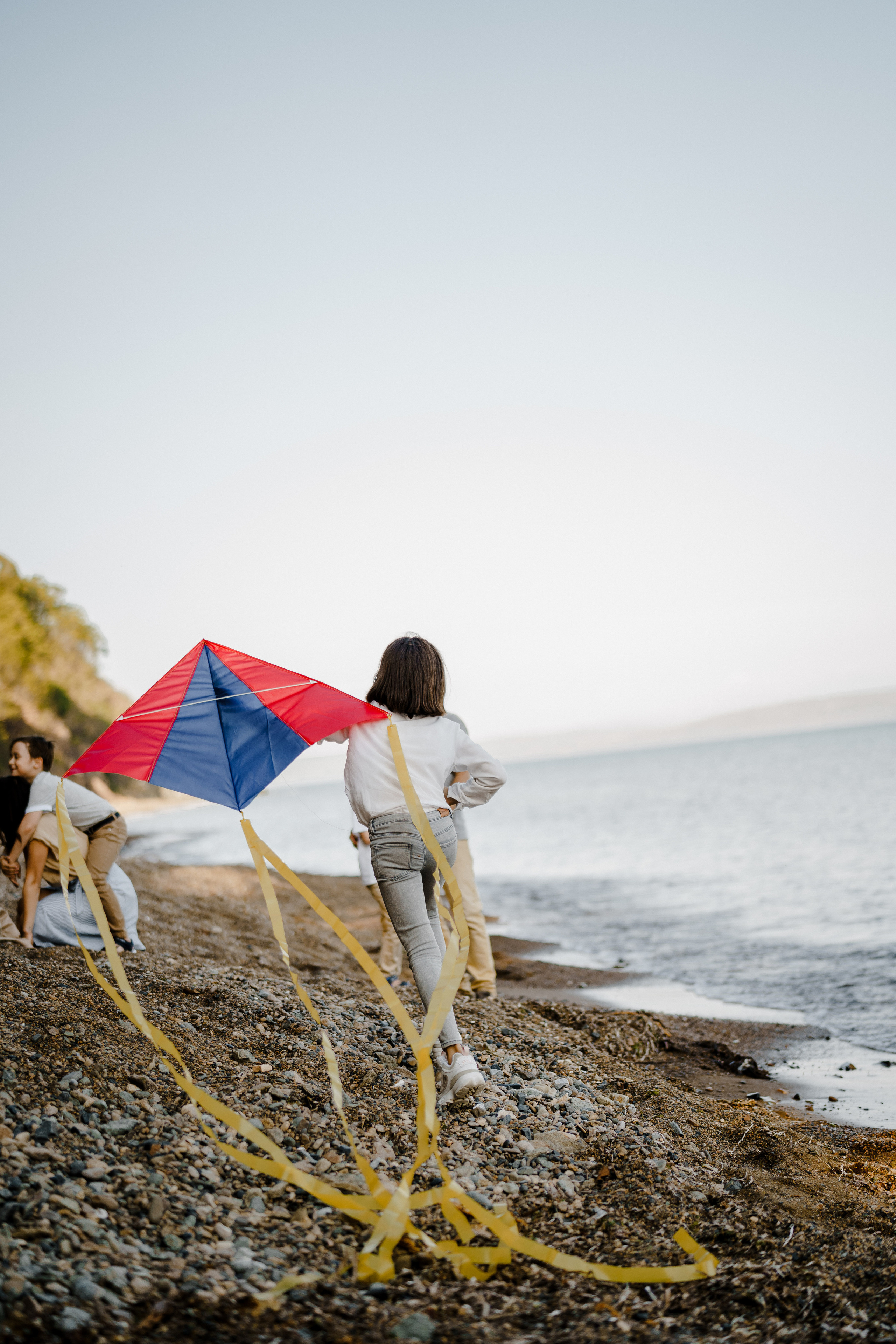Берег моря воздушный змей и собака. Фотограф Lifestyle в Хабаровске, Владивостоке Землякова Елена
