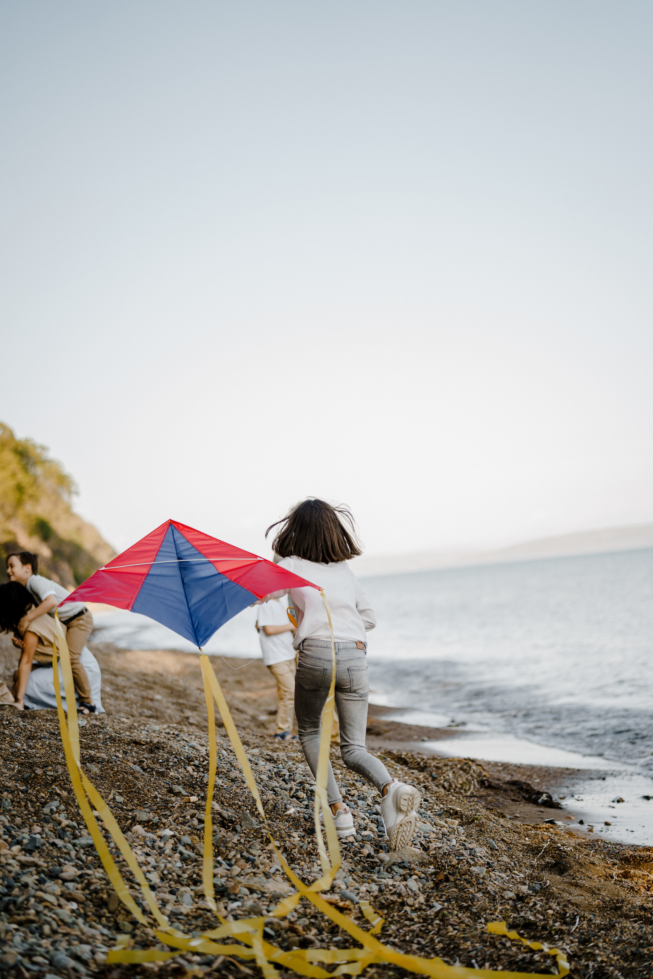 Берег моря воздушный змей и собака. Фотограф Lifestyle в Хабаровске, Владивостоке Землякова Елена