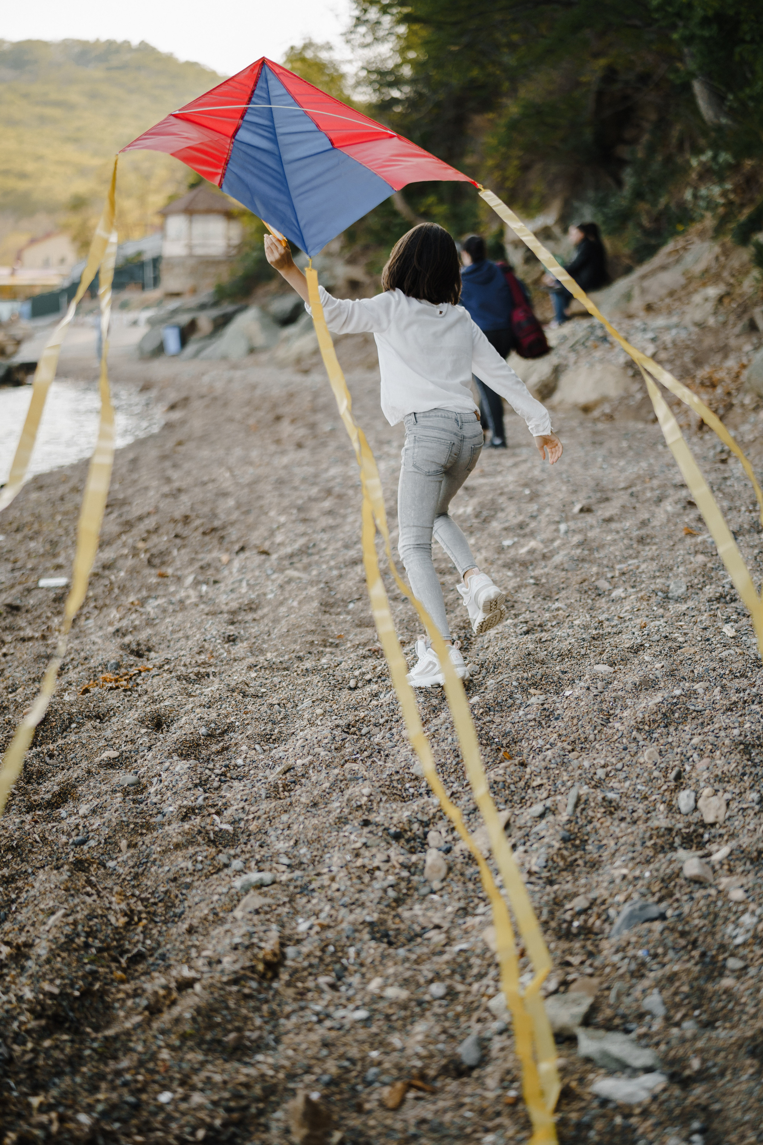 Берег моря воздушный змей и собака. Фотограф Lifestyle в Хабаровске, Владивостоке Землякова Елена