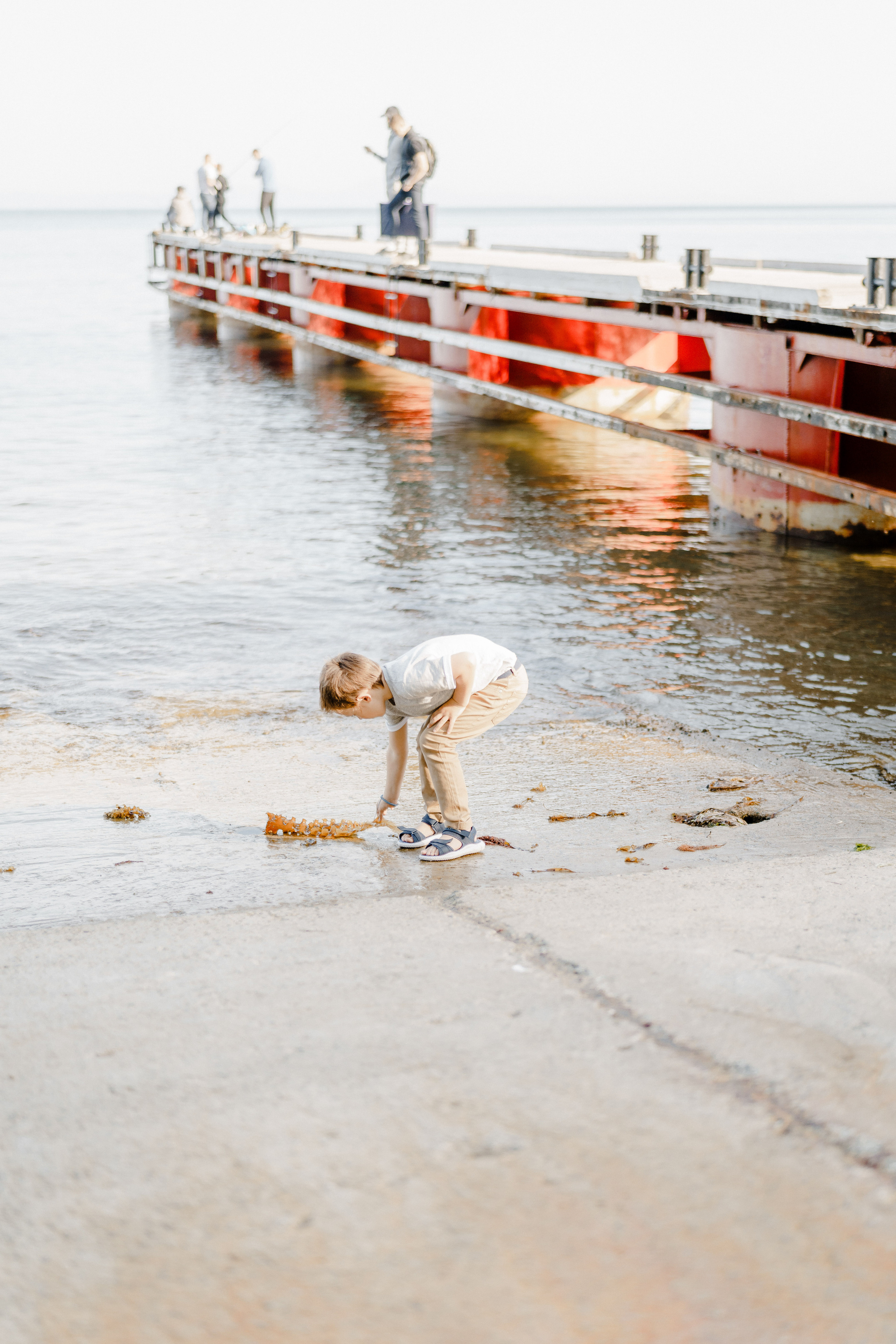 Берег моря воздушный змей и собака. Фотограф Lifestyle в Хабаровске, Владивостоке Землякова Елена