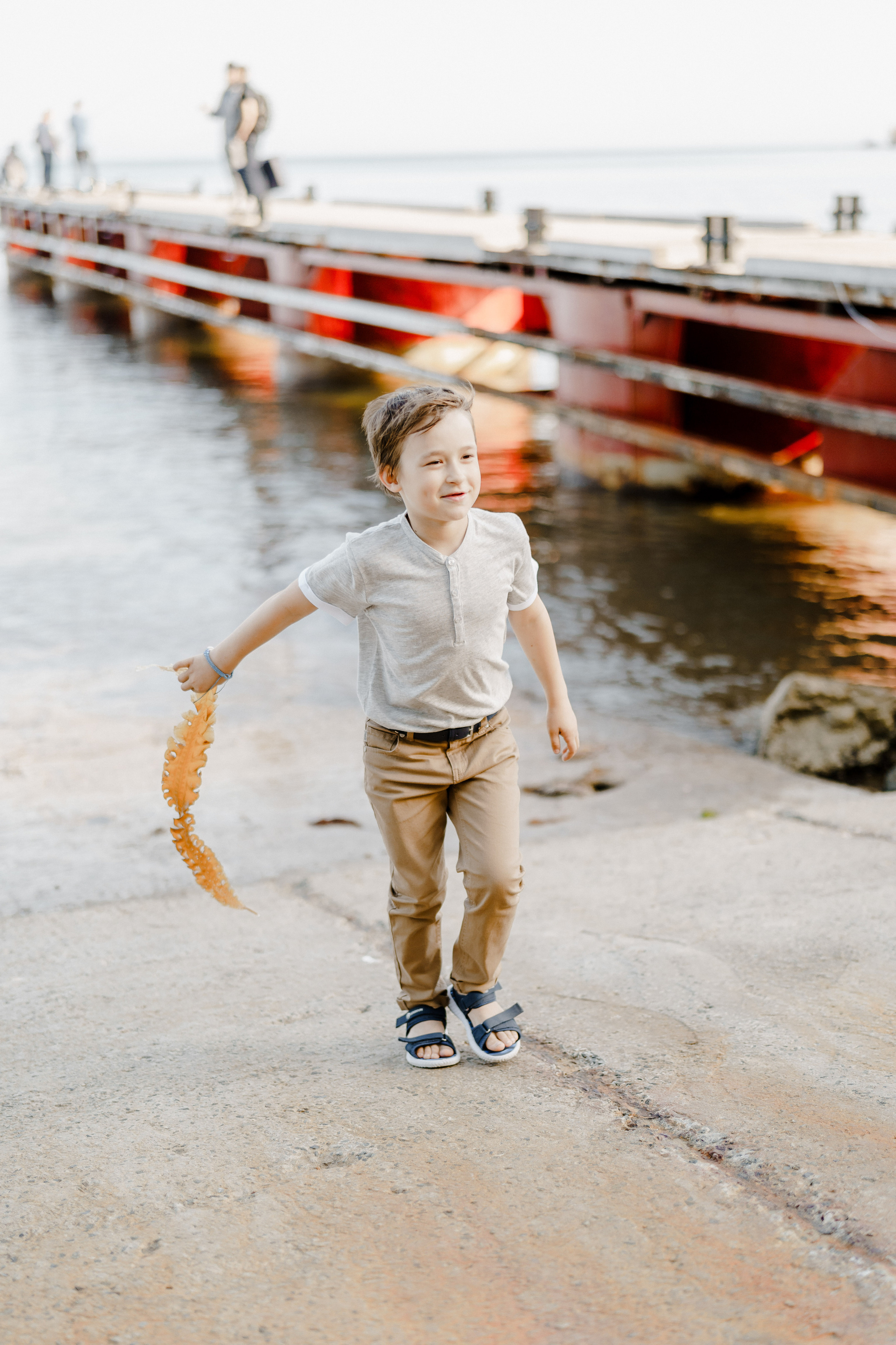 Берег моря воздушный змей и собака. Фотограф Lifestyle в Хабаровске, Владивостоке Землякова Елена