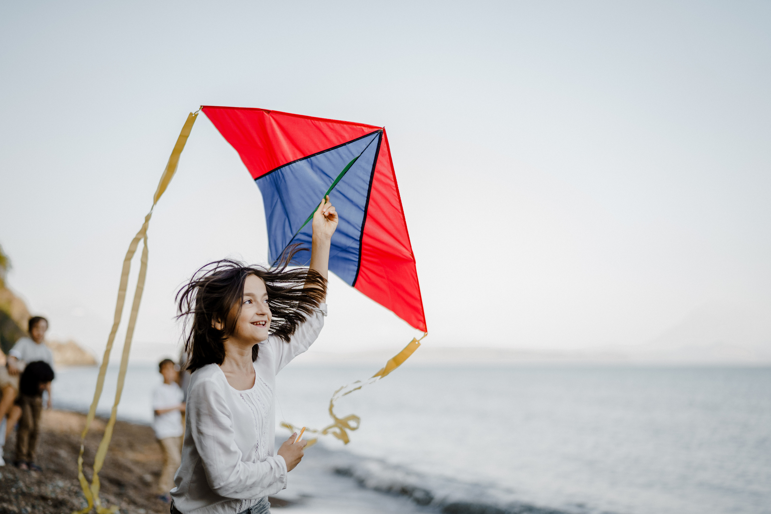 Берег моря воздушный змей и собака. Фотограф Lifestyle в Хабаровске, Владивостоке Землякова Елена