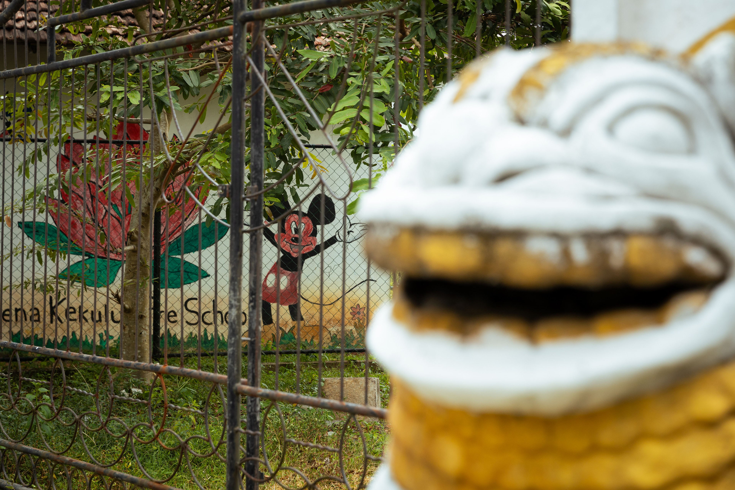 Шри-Ланка (весна 2024). Фотограф Виноградов Константин