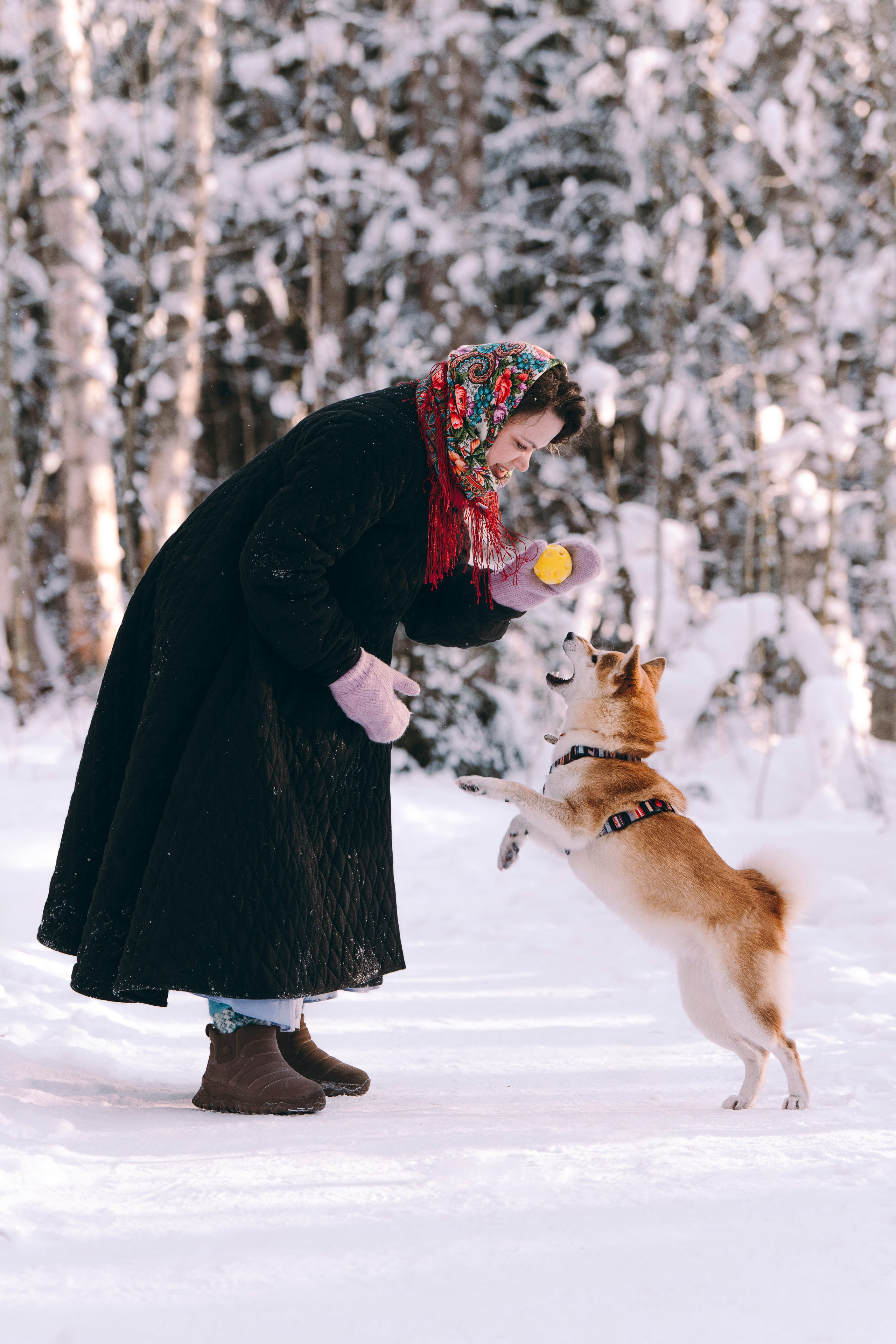 Каори, Анна и Антон. Фотограф анималист в Спб недорого Олеся Майорова