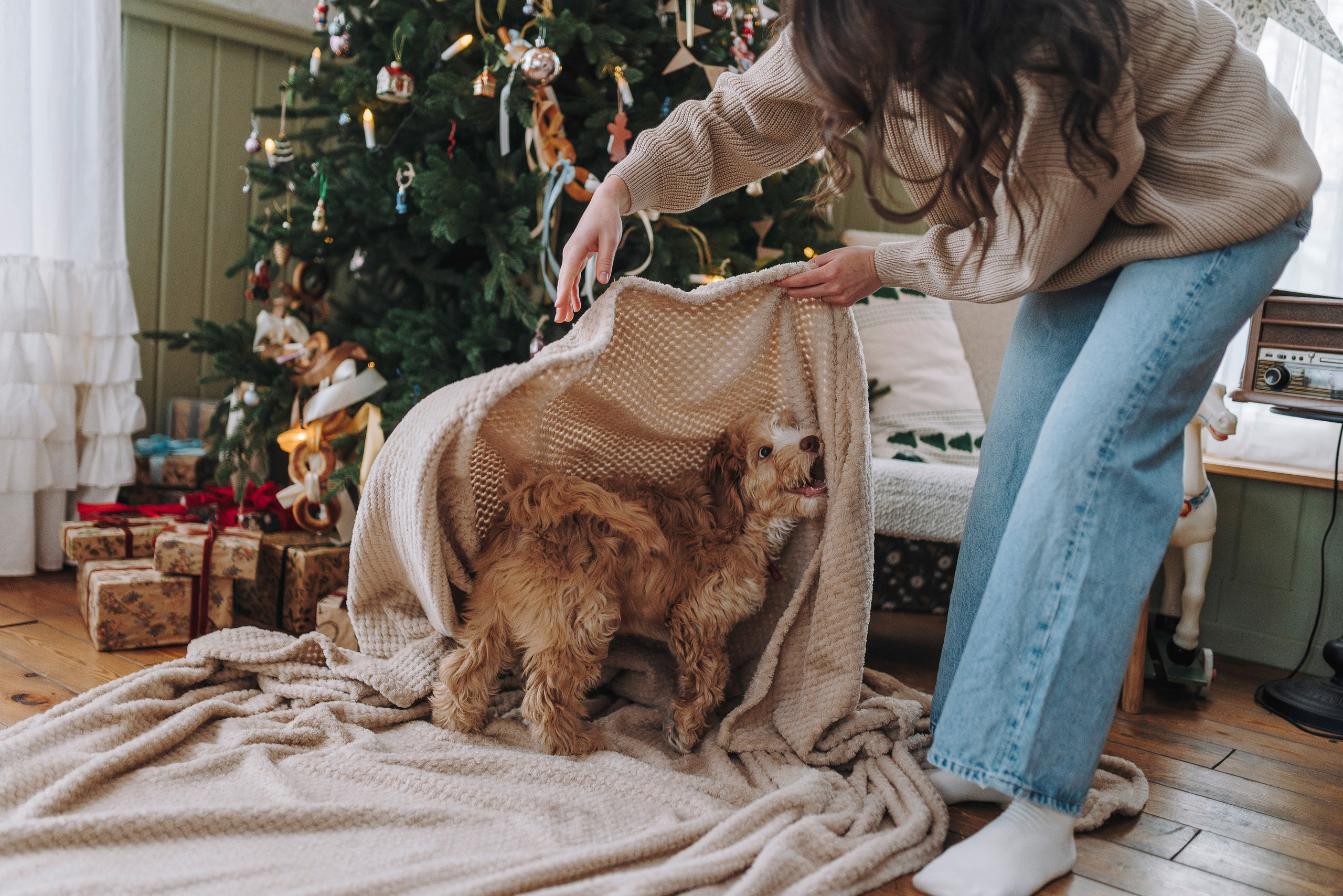 Мёрфи, Таня и Антон. Фотограф анималист в Спб недорого Олеся Майорова