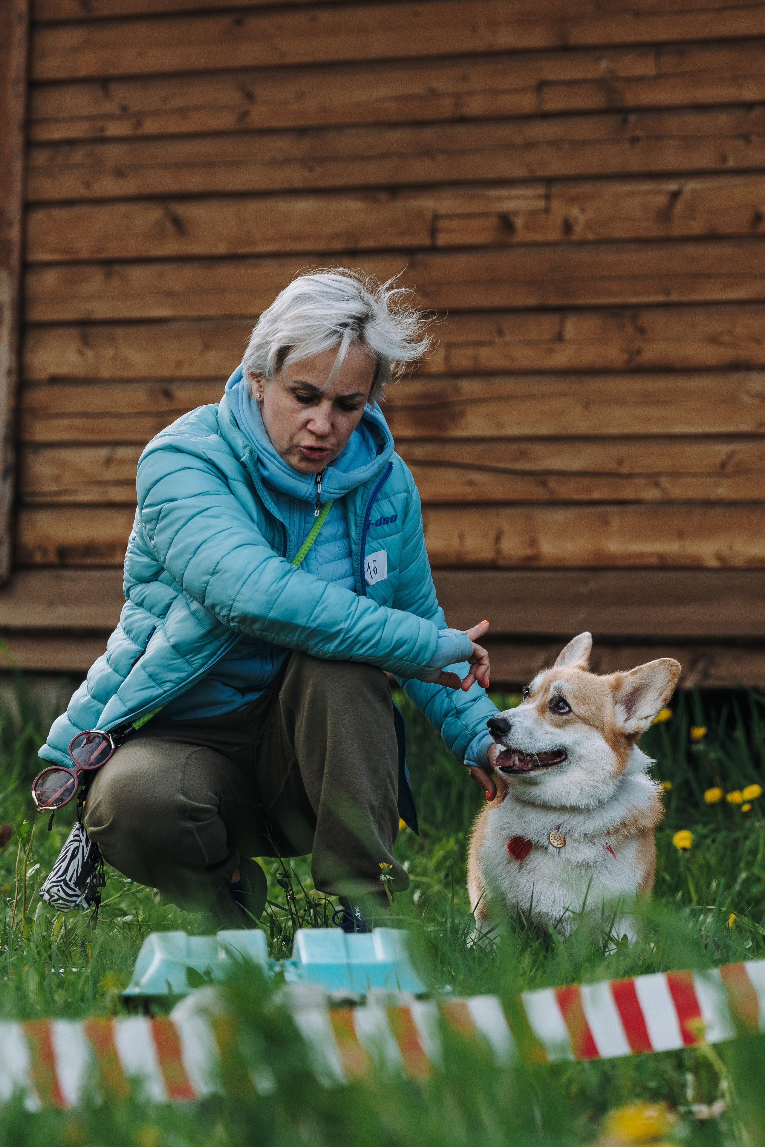 Соревнования по ноузворку в Лосево. Фотограф анималист в Спб недорого Олеся Майорова