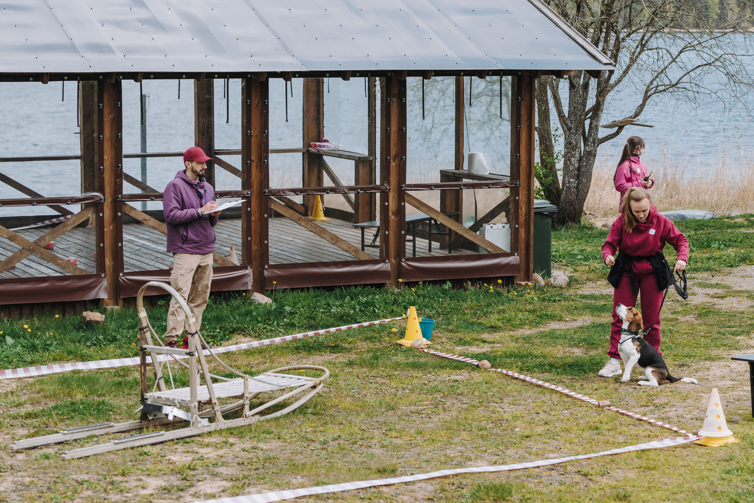 Соревнования по ноузворку в Лосево. Фотограф анималист в Спб недорого Олеся Майорова