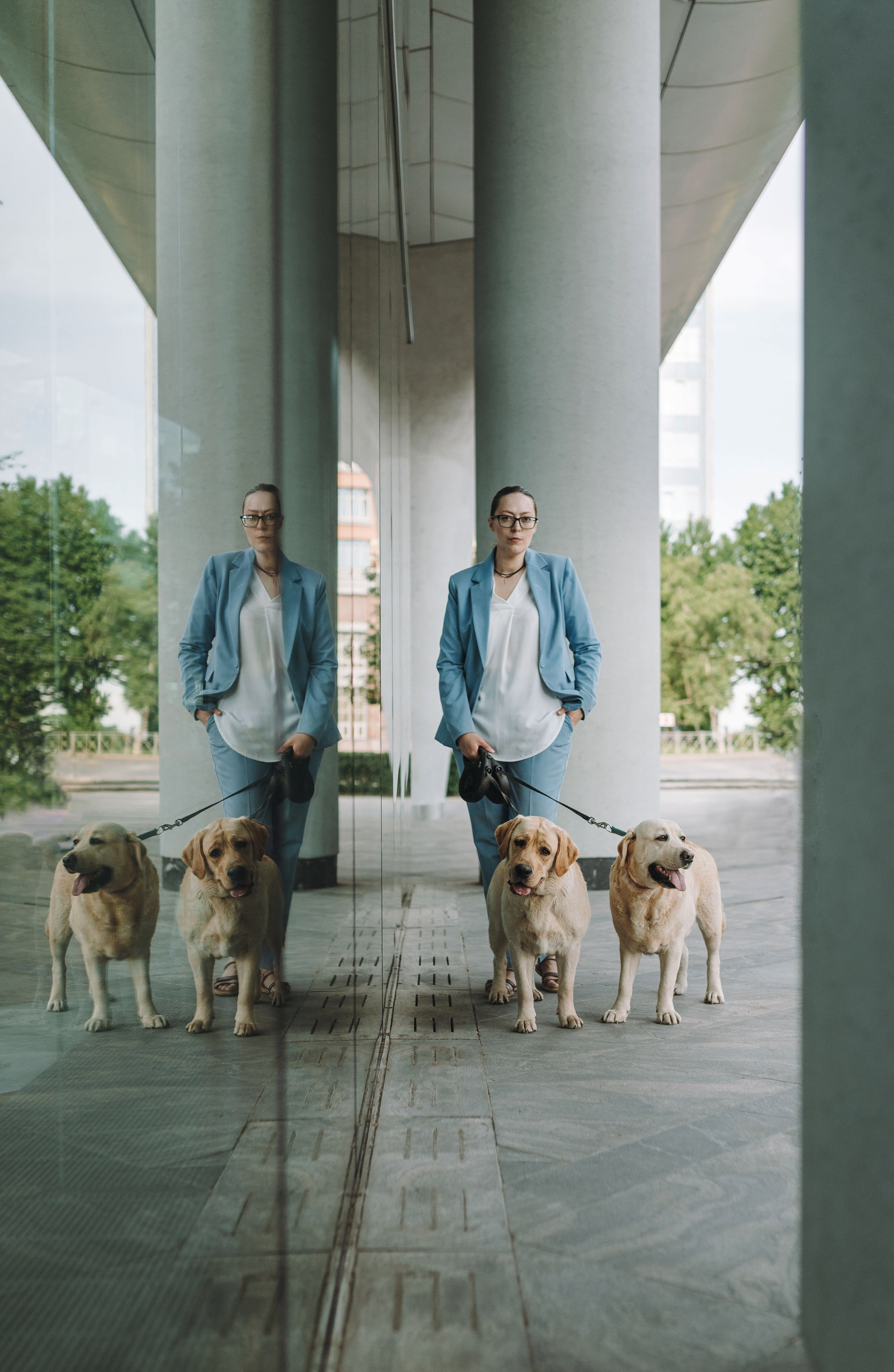 Лабрадоры питомника IRISLAV. Фотограф анималист в Спб недорого Олеся Майорова