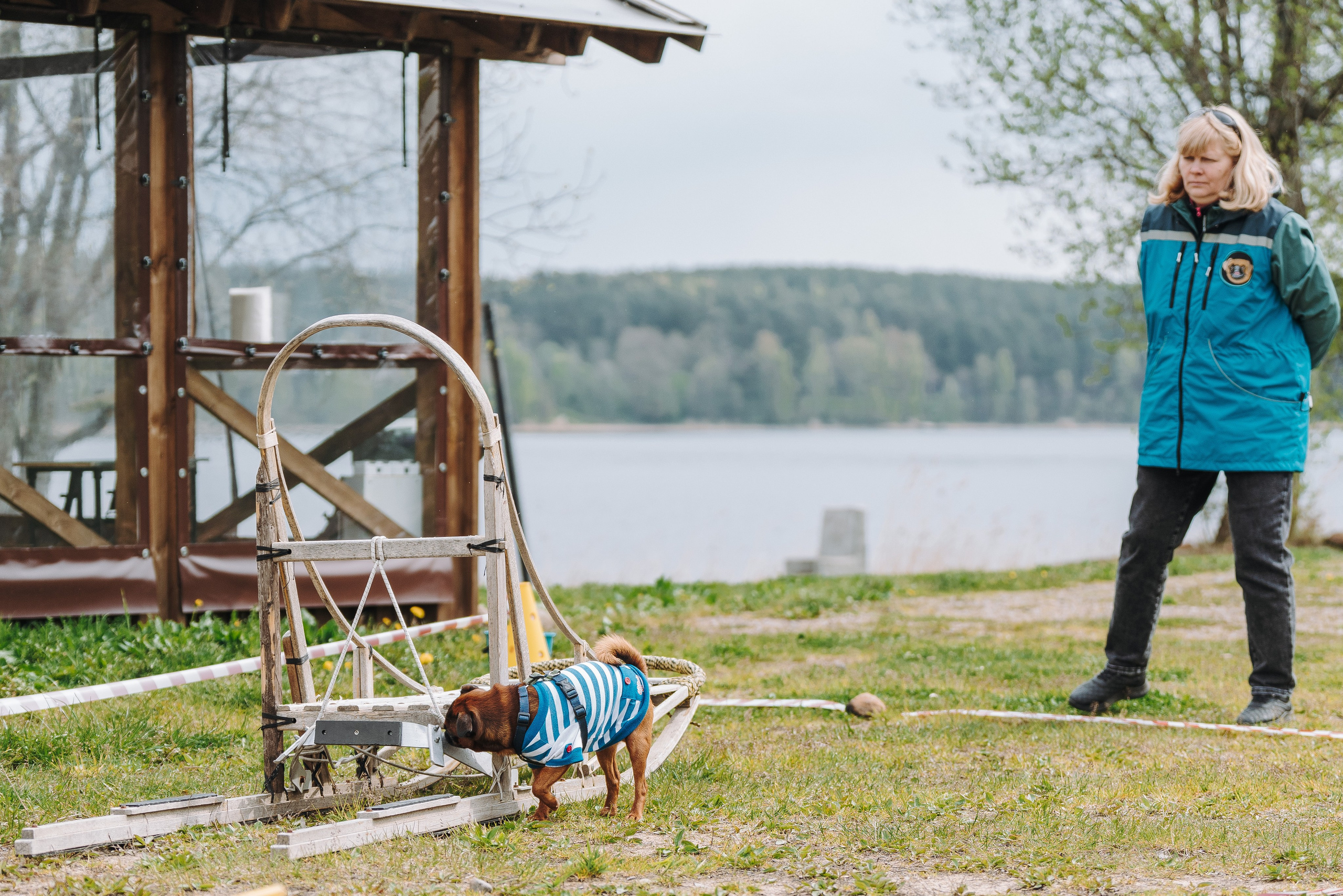 Соревнования по ноузворку в Лосево. Фотограф анималист в Спб недорого Олеся Майорова