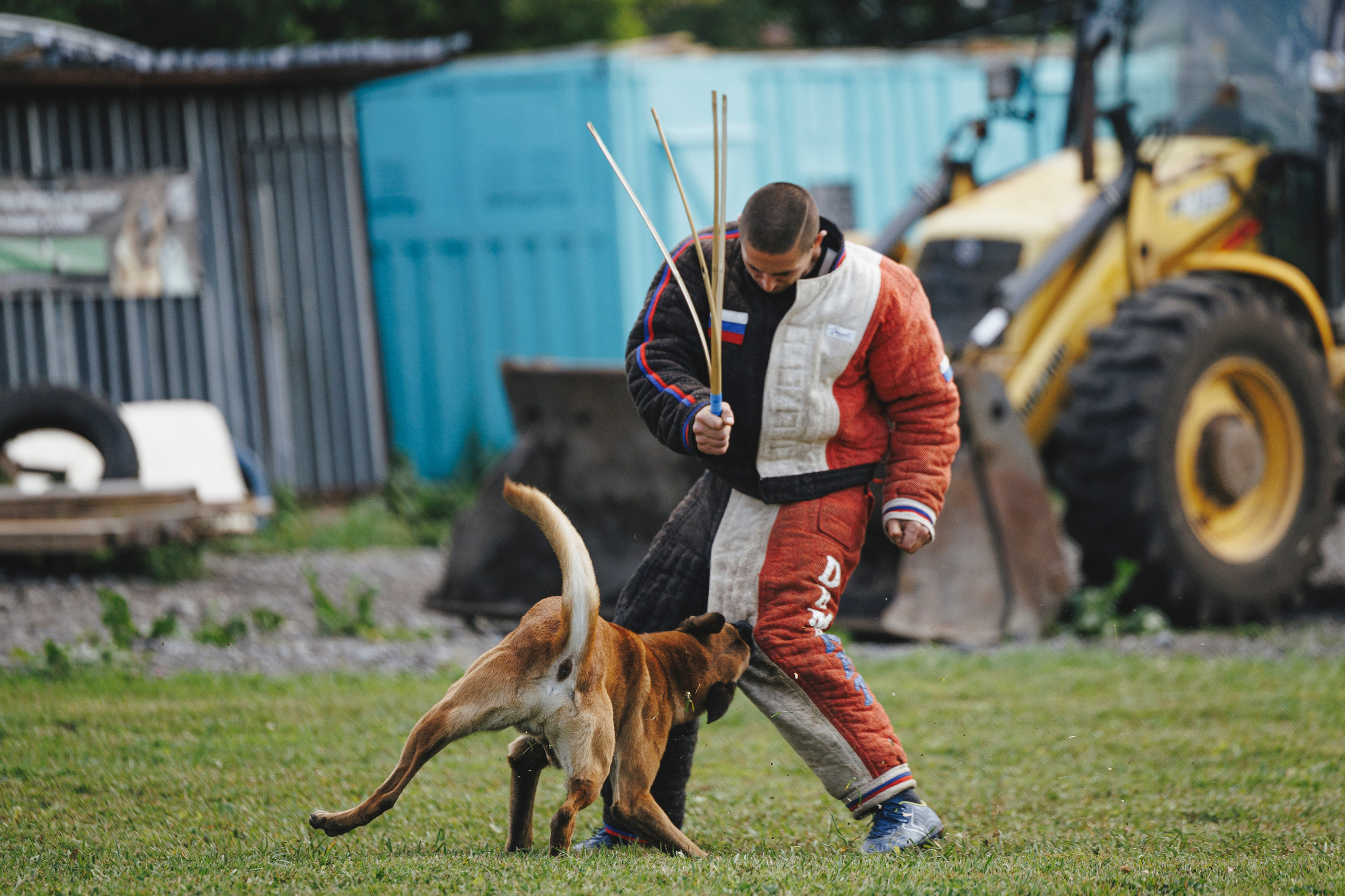 08.08.25-10.08.25 ЧР по мондьорингу г. Вологда. Фотограф-анималист Анна Маринич