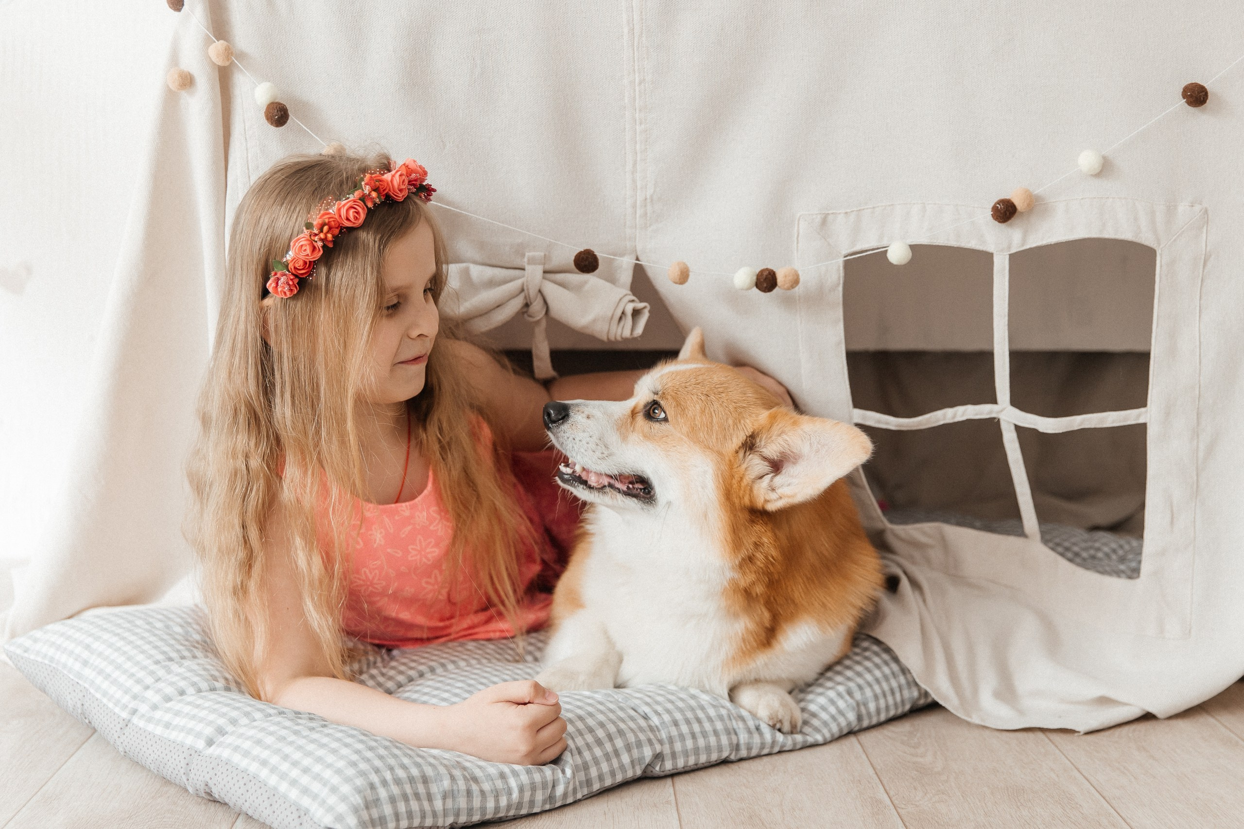 Фотопроект с корги🐶