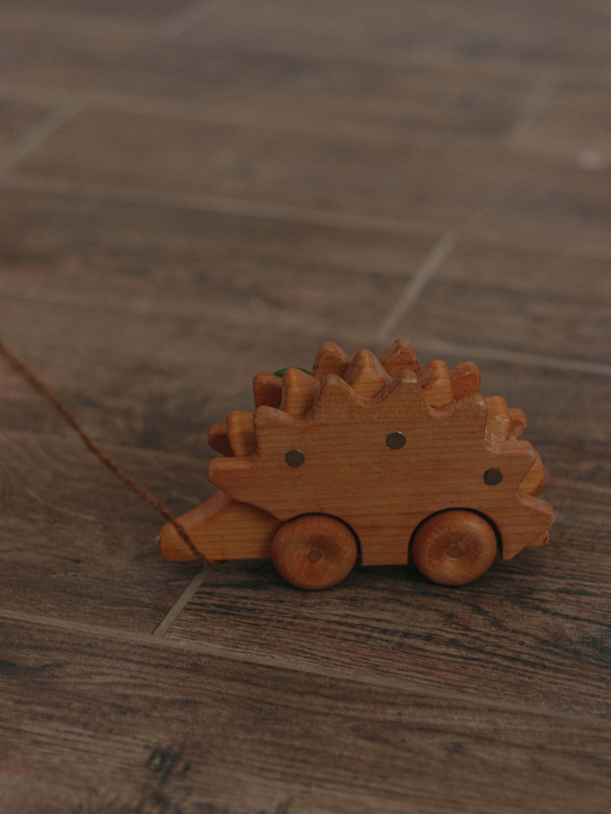 L I T L E STARS. Фотограф Трифон Мира