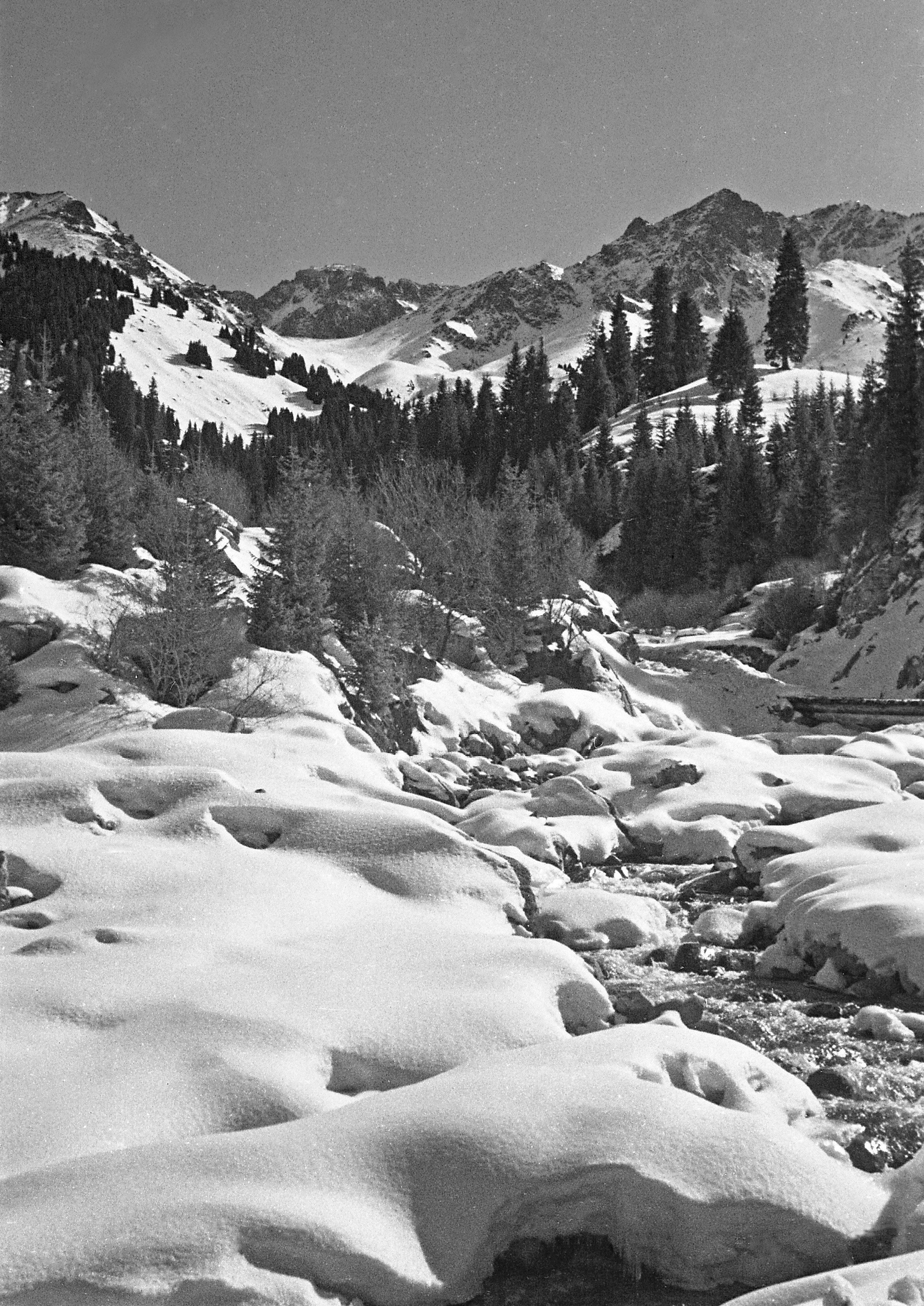 Черно-белая фотография. ВАДИМ ГИППЕНРЕЙТЕР — ВЕЛИКИЙ ФОТОГРАФ ЗЕМЛИ РУССКОЙ
