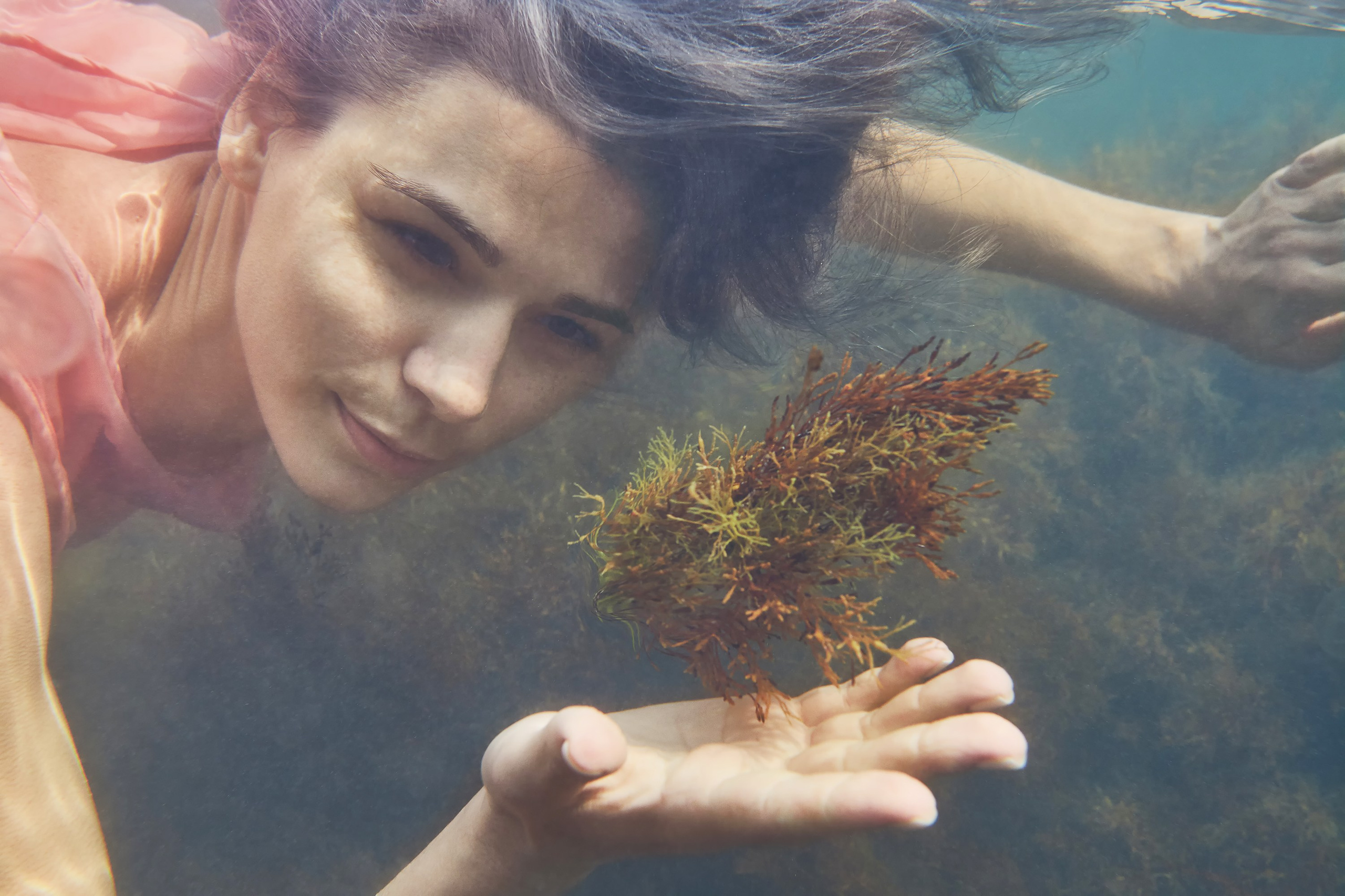 Девушка в розовом под водой рассматривает водоросли