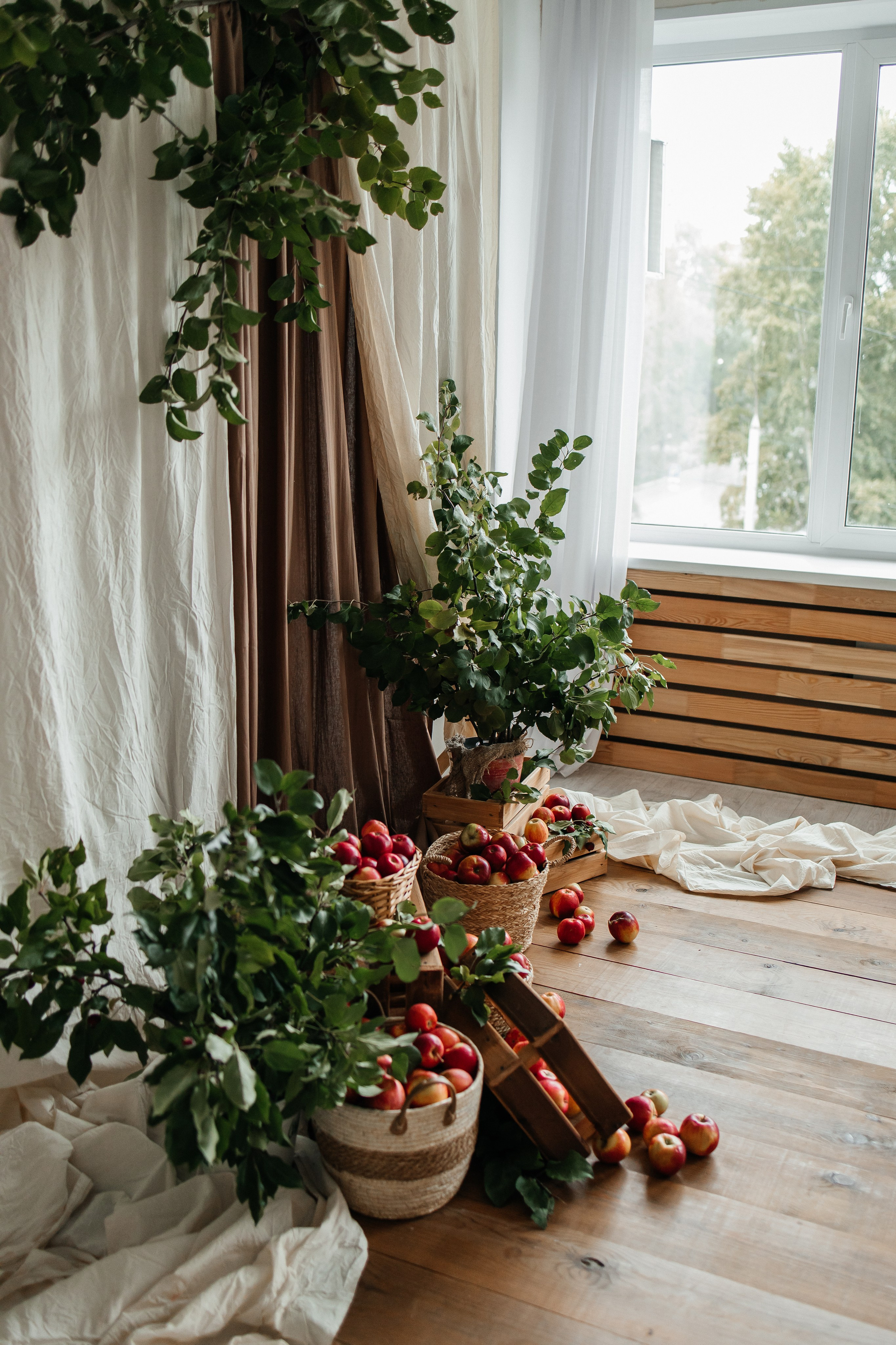 Осенний с кроликом🐇. First-foto.ru