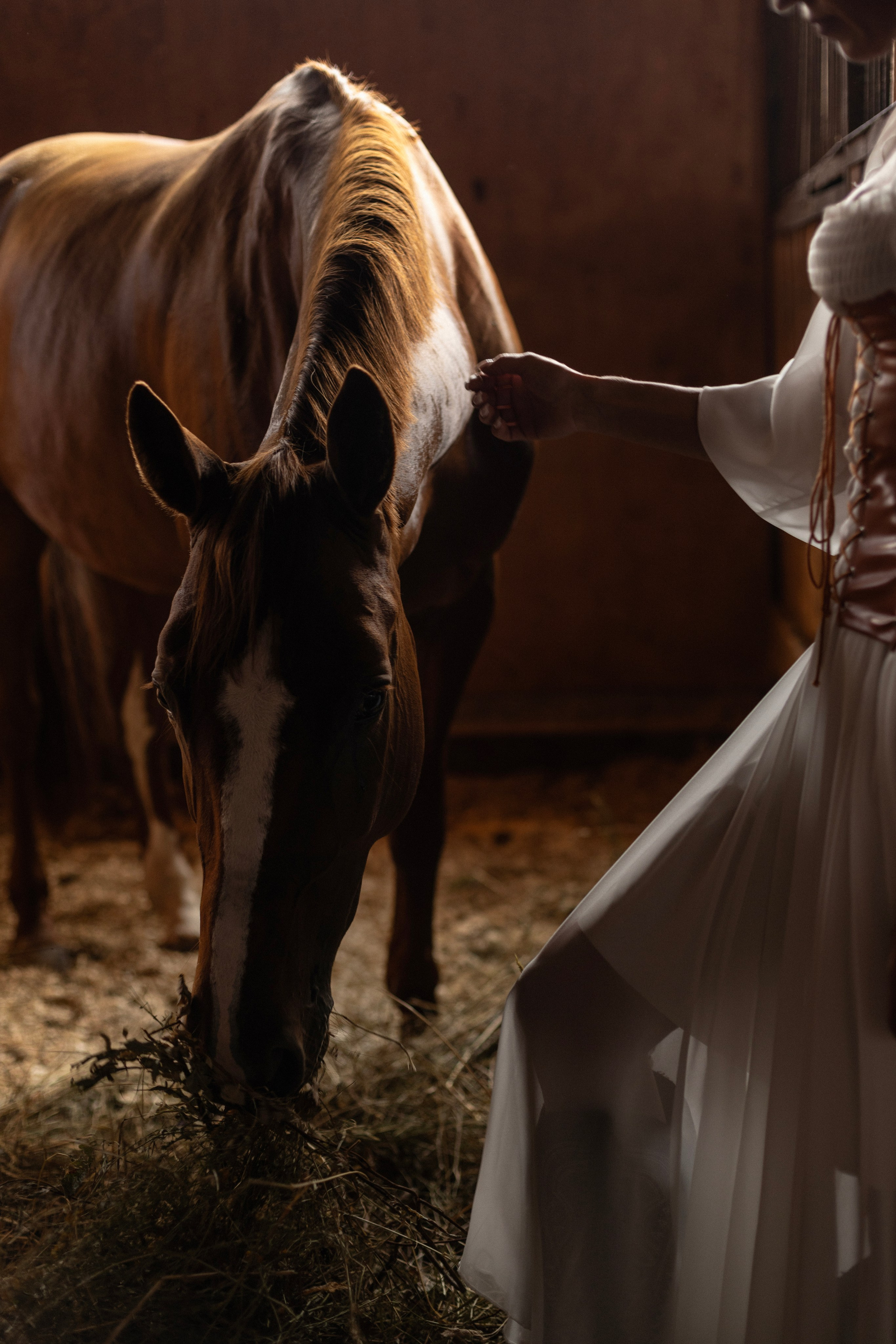 Женский фотограф в Санкт-Петербурге, Москве и весь мир Алёна Мамаева