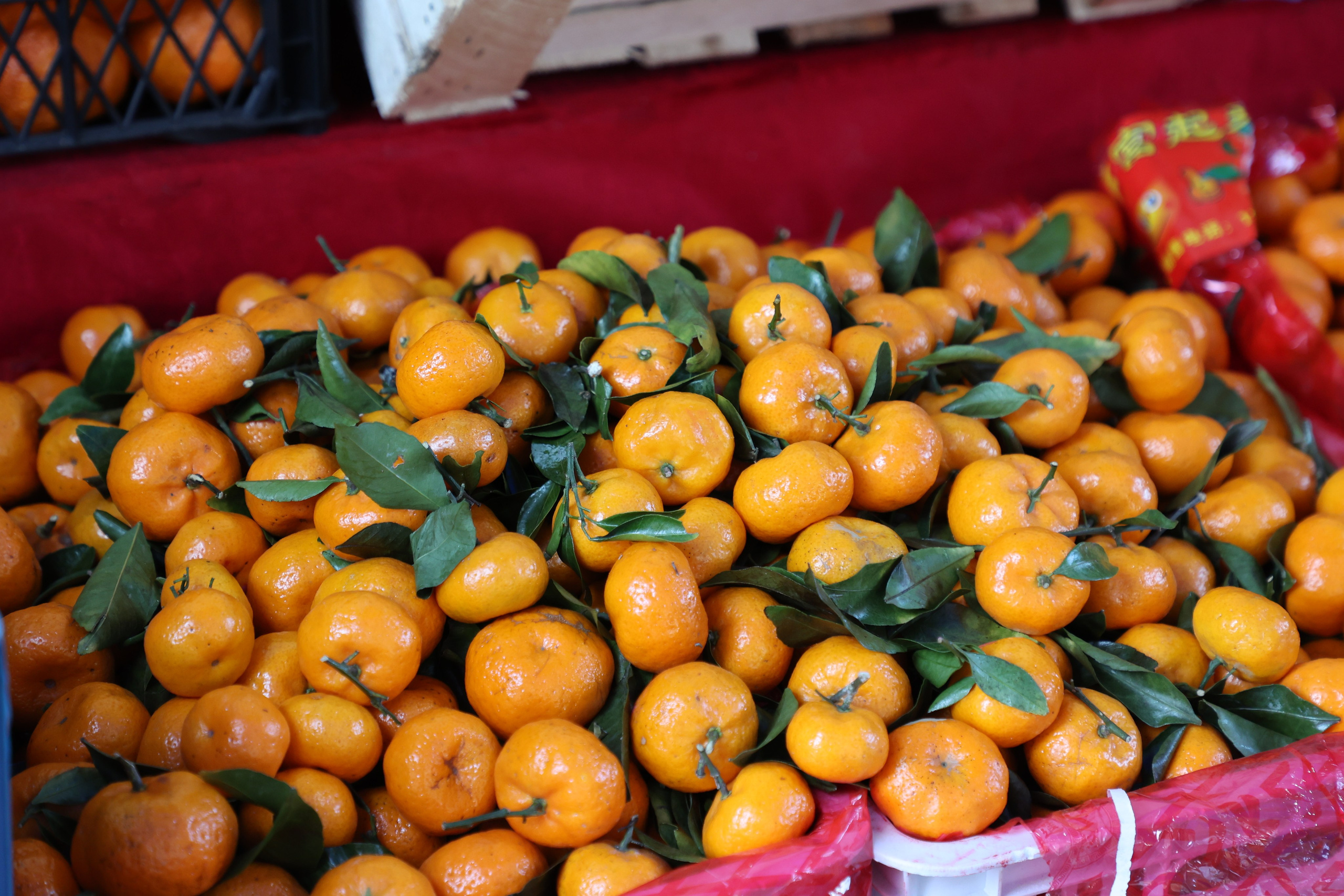 Tashkent, Uzbekistan. Andrey Filippov Photographer
