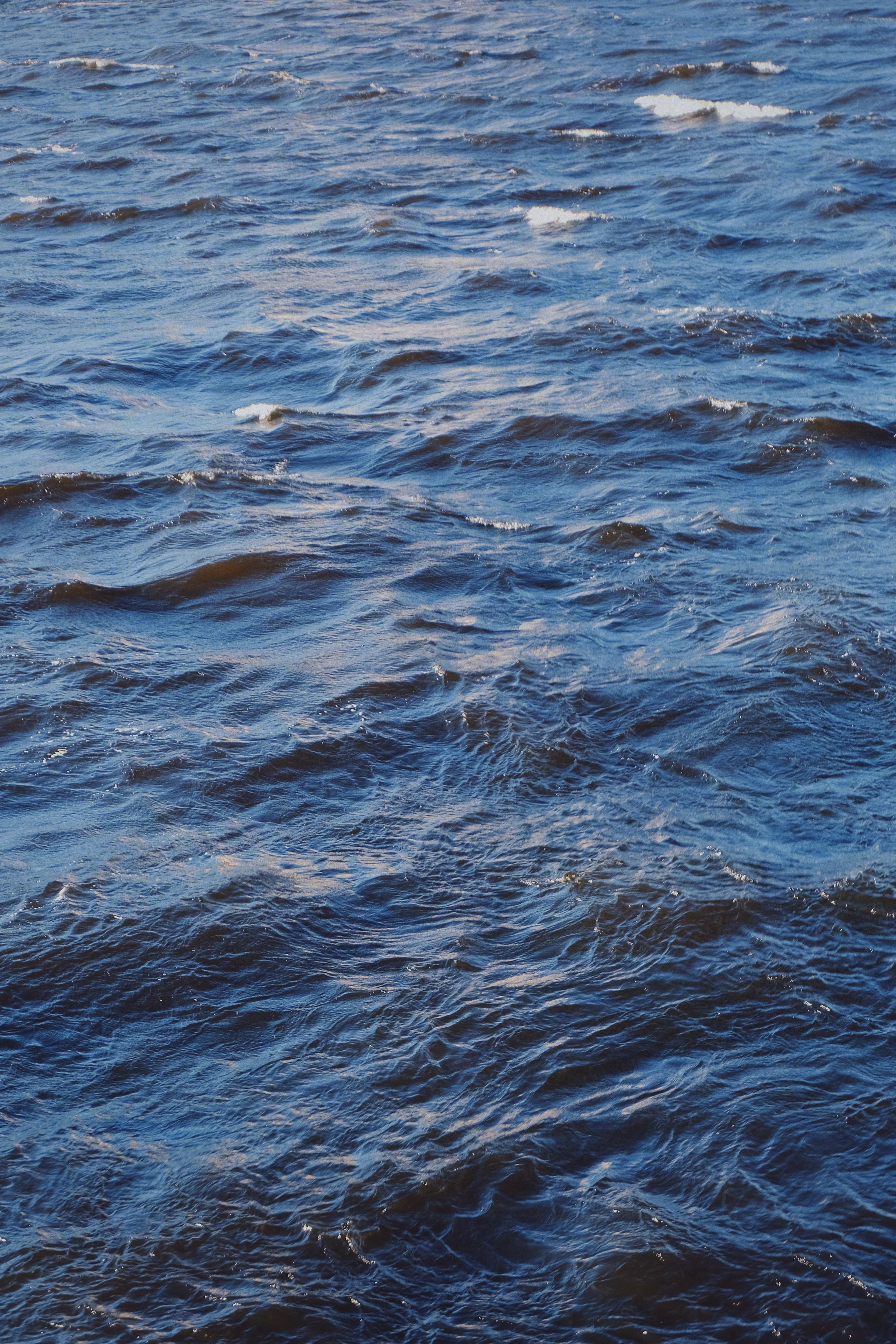 Петербург. Татьян гертье