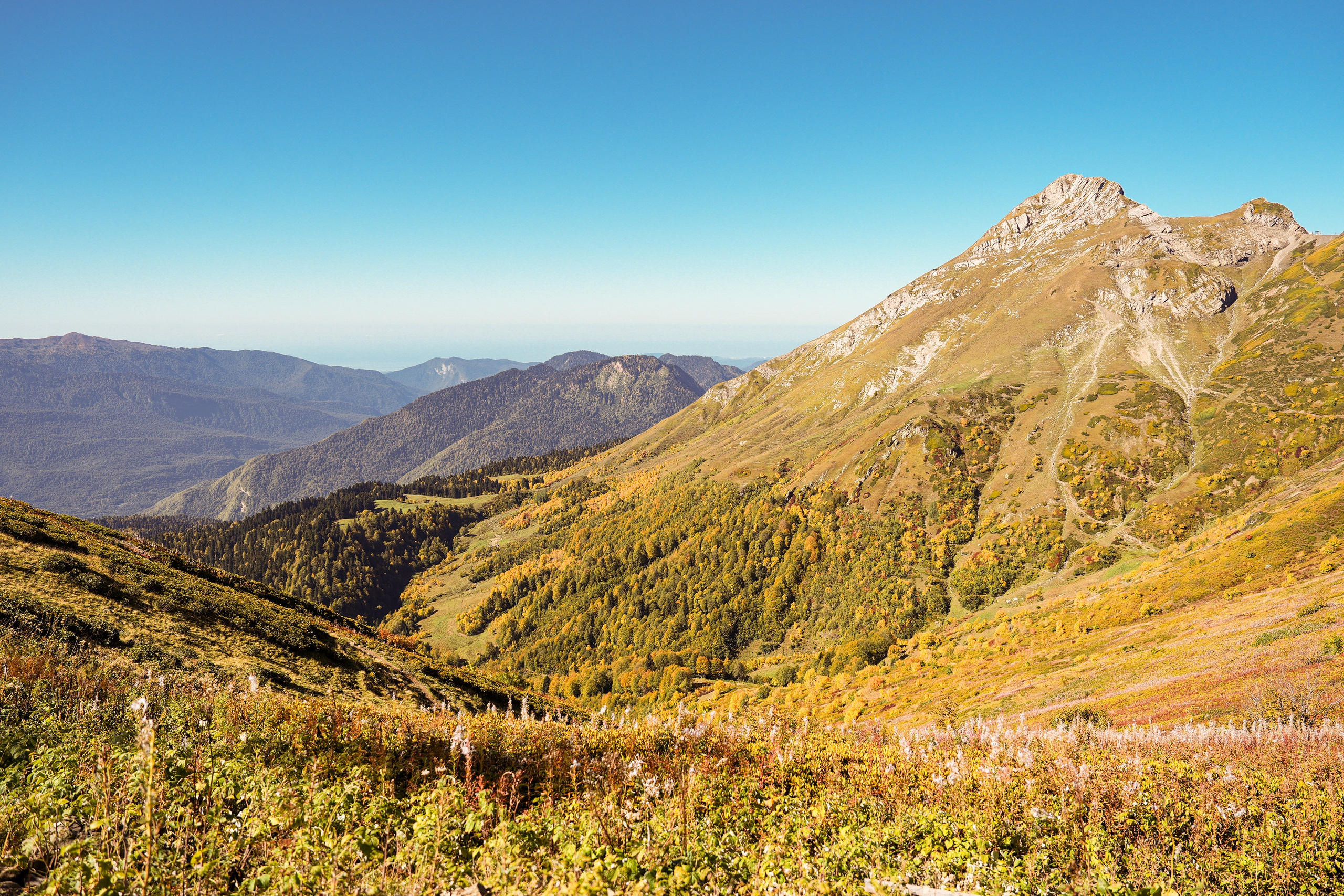 Ыаывы. Репортажный фотограф в Красной Поляне и Сочи Павлюченко Екатерина