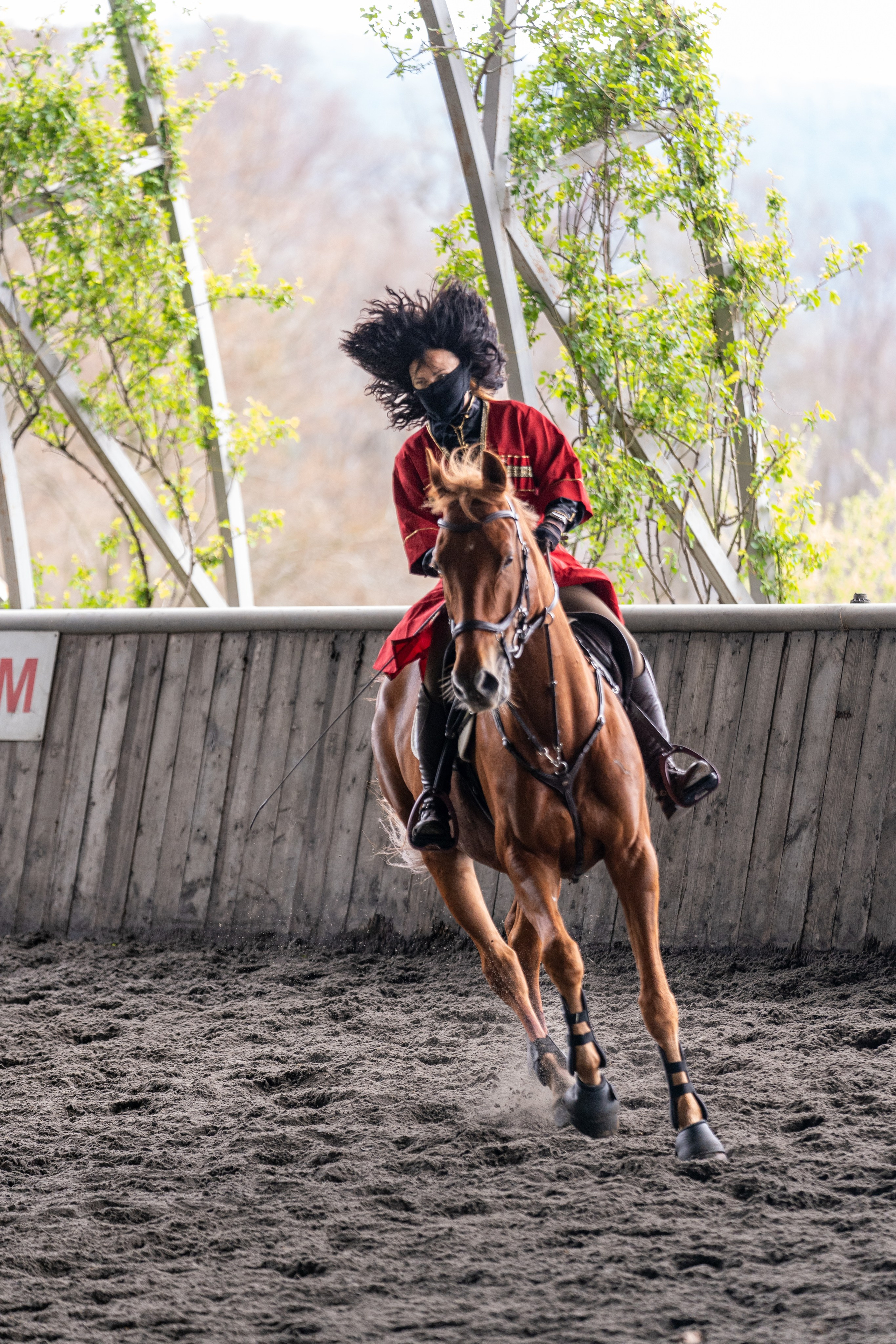 MICE мероприятие на ферме Экзархо. Репортажный фотограф в Красной Поляне и Сочи Павлюченко Екатерина