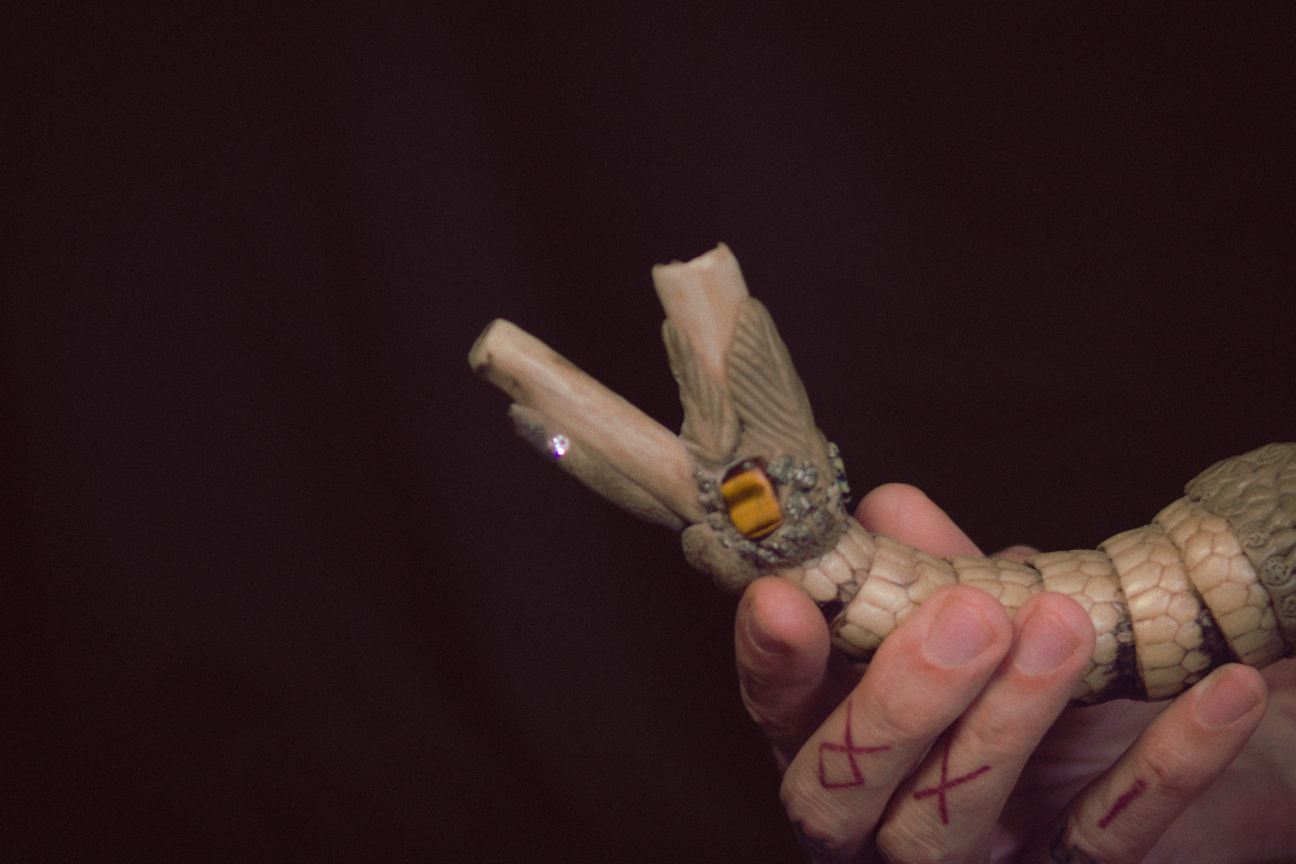 Саша Викинг. Фотограф Париж / Photographer Paris