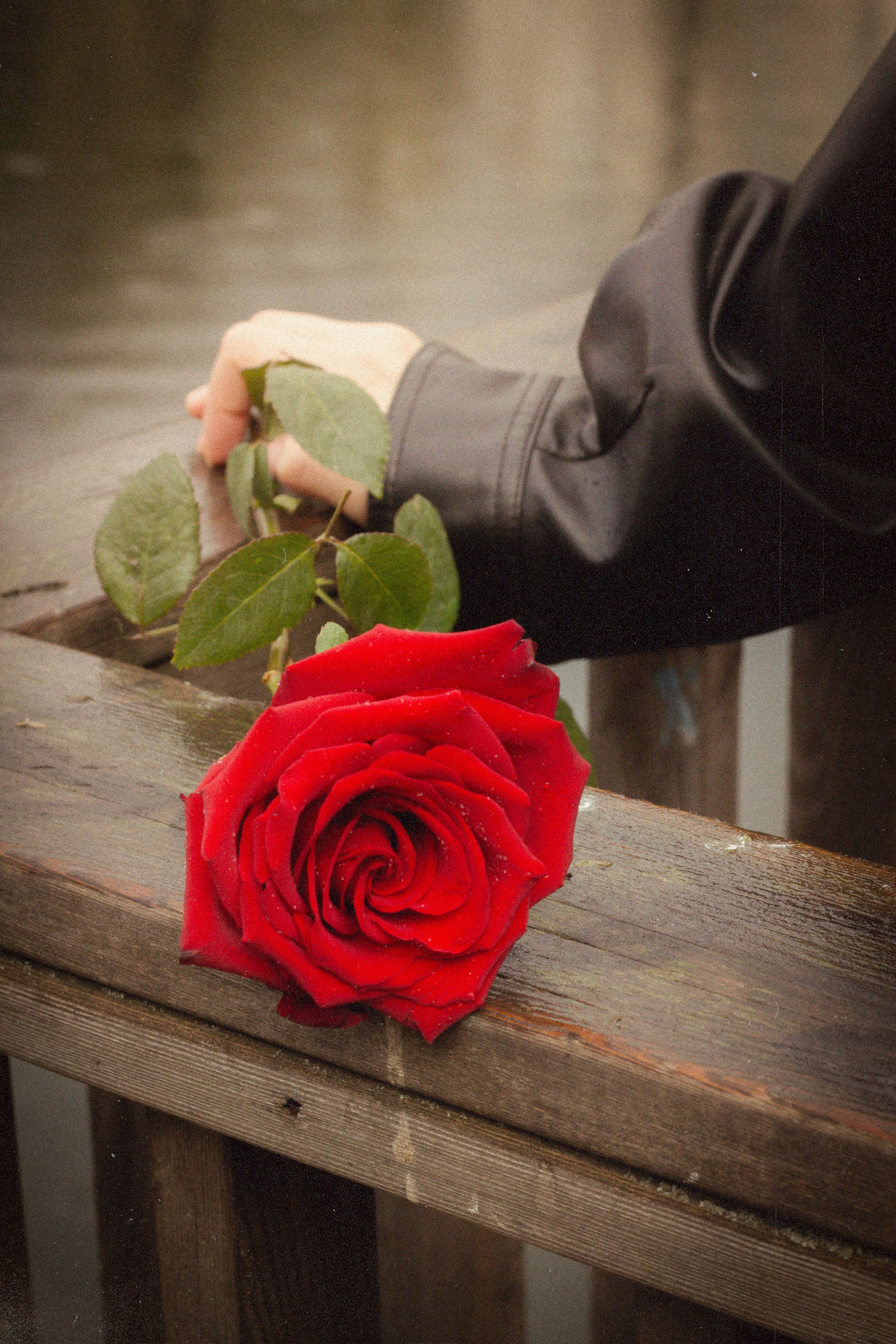 ALINA GOLDENBERG. Главная