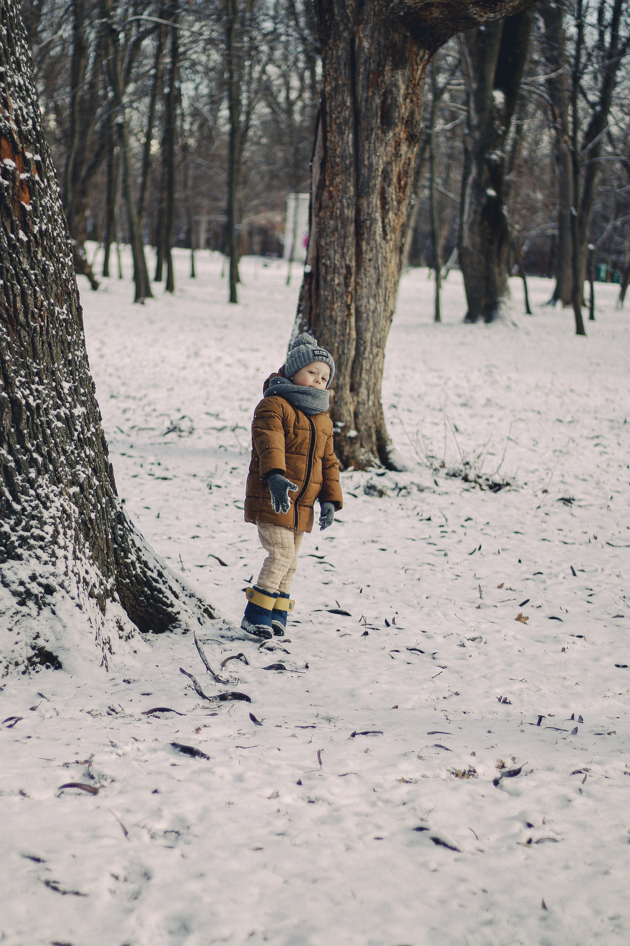 Зимний Краснодар. Фотограф Краснодар