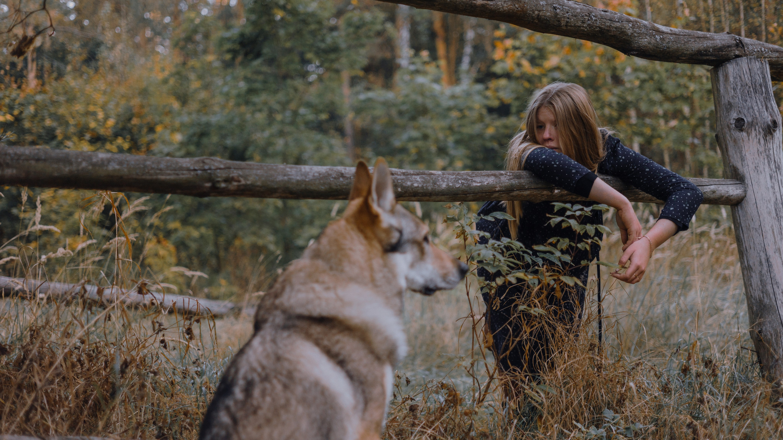 Полина и Вегард. Фотограф-анималист Богданова Полина