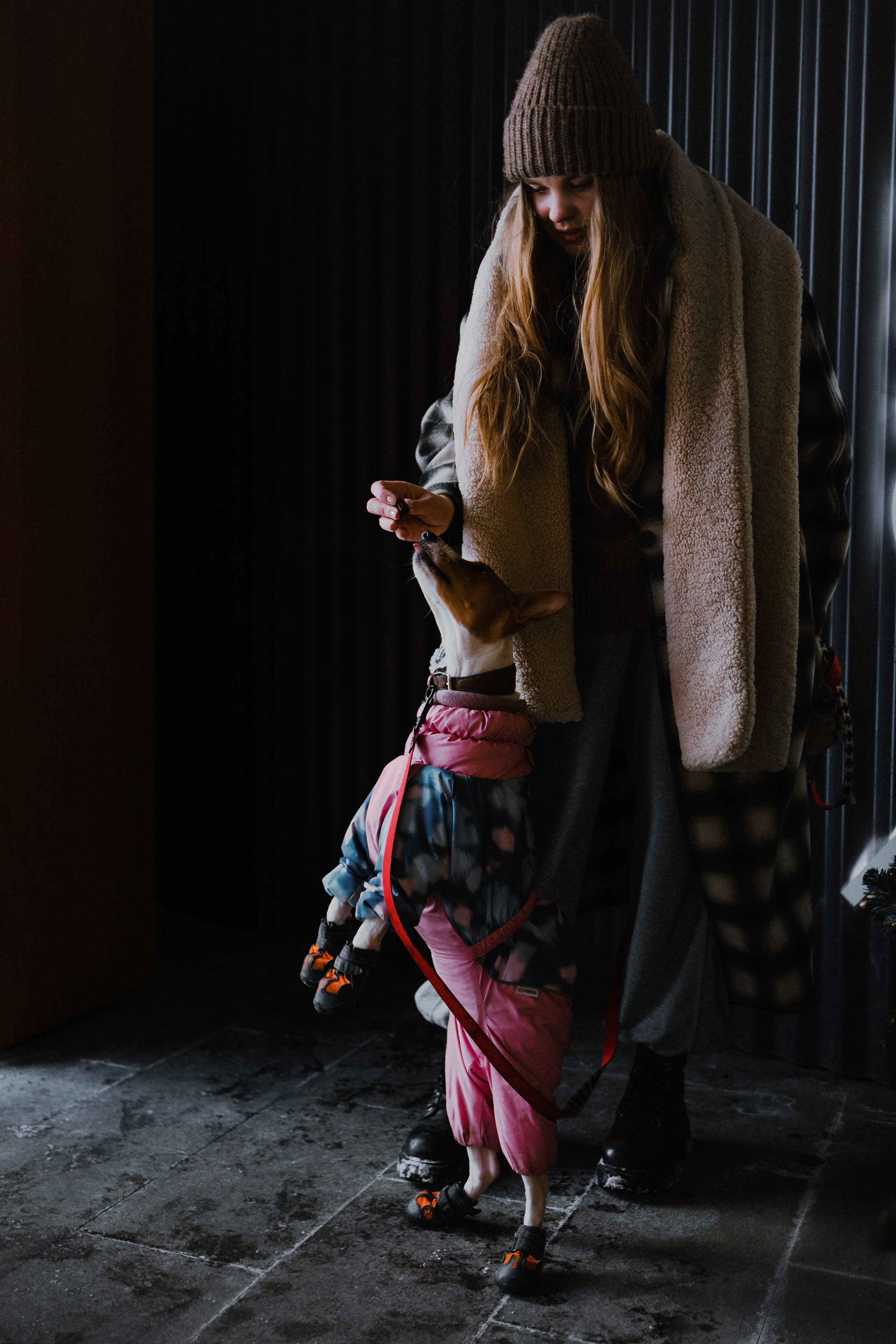 Люба, Никита и Бахати. Фотограф-анималист Богданова Полина