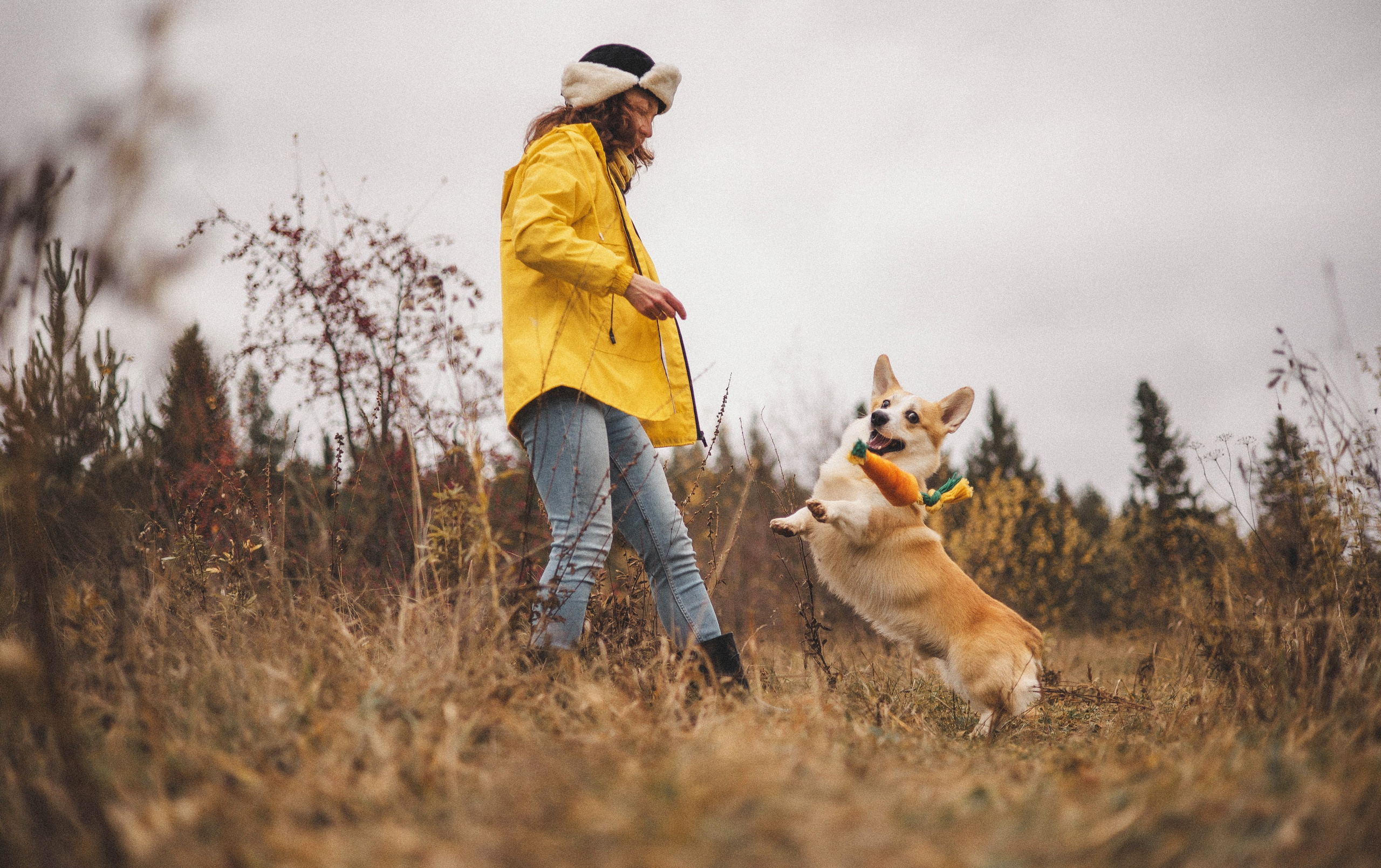 Юля и барри. Фотограф-анималист Богданова Полина