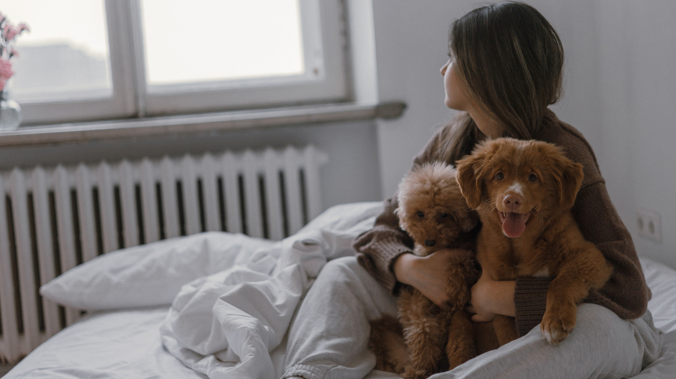 Маша, Одди и Нэвил. Фотограф-анималист Богданова Полина