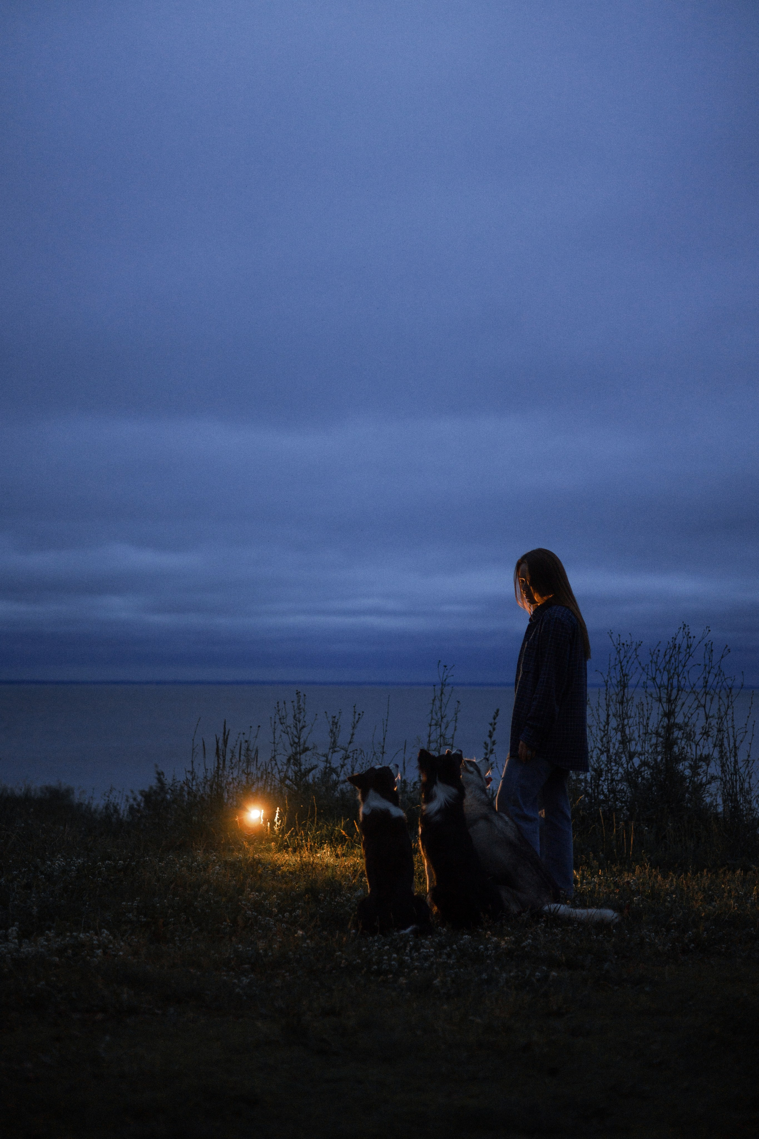 Аделя, Вандер, Шайна и Бая. Фотограф-анималист Богданова Полина
