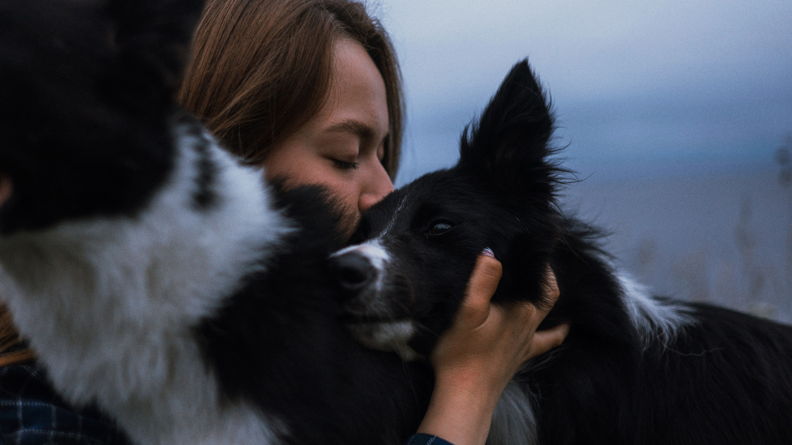 Аделя, Вандер, Шайна и Бая. Фотограф-анималист Богданова Полина